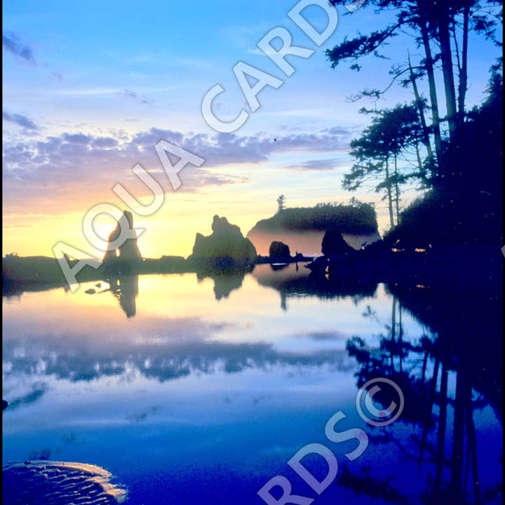 1238 - Ochtend bij het getijdenzwembad voor wholesale door Aqua Cards