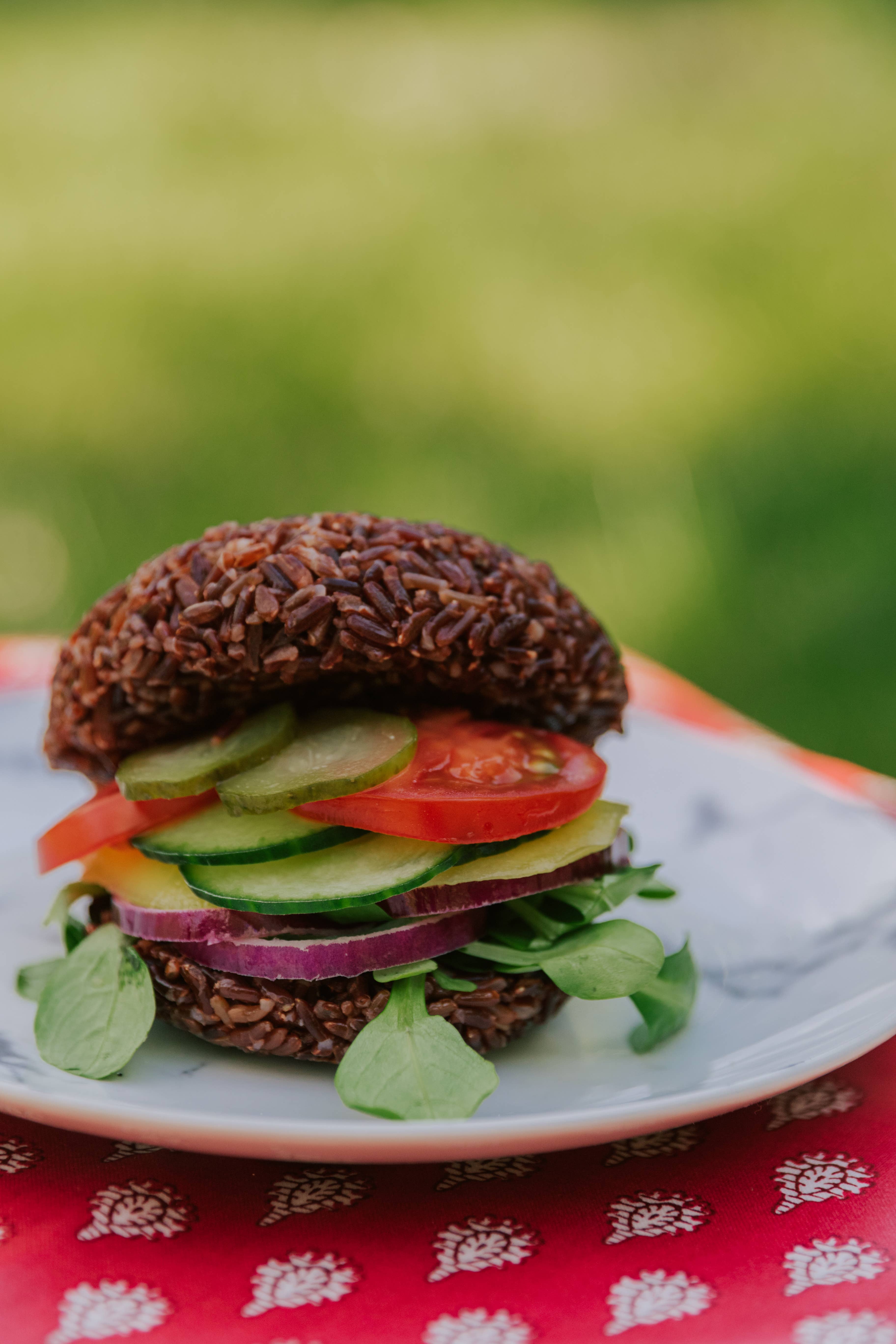 CANAVERE – wholesale Rice – CAMARGUE IGP LONG RED RICE - 500 G2