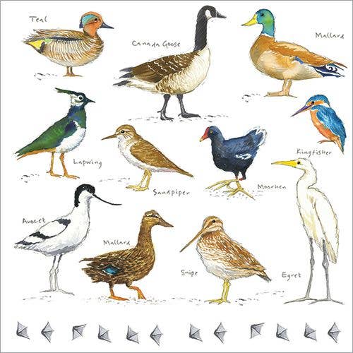 Grußkarte mit Wasservögeln für den Großhandel von Lilac Tree Designs