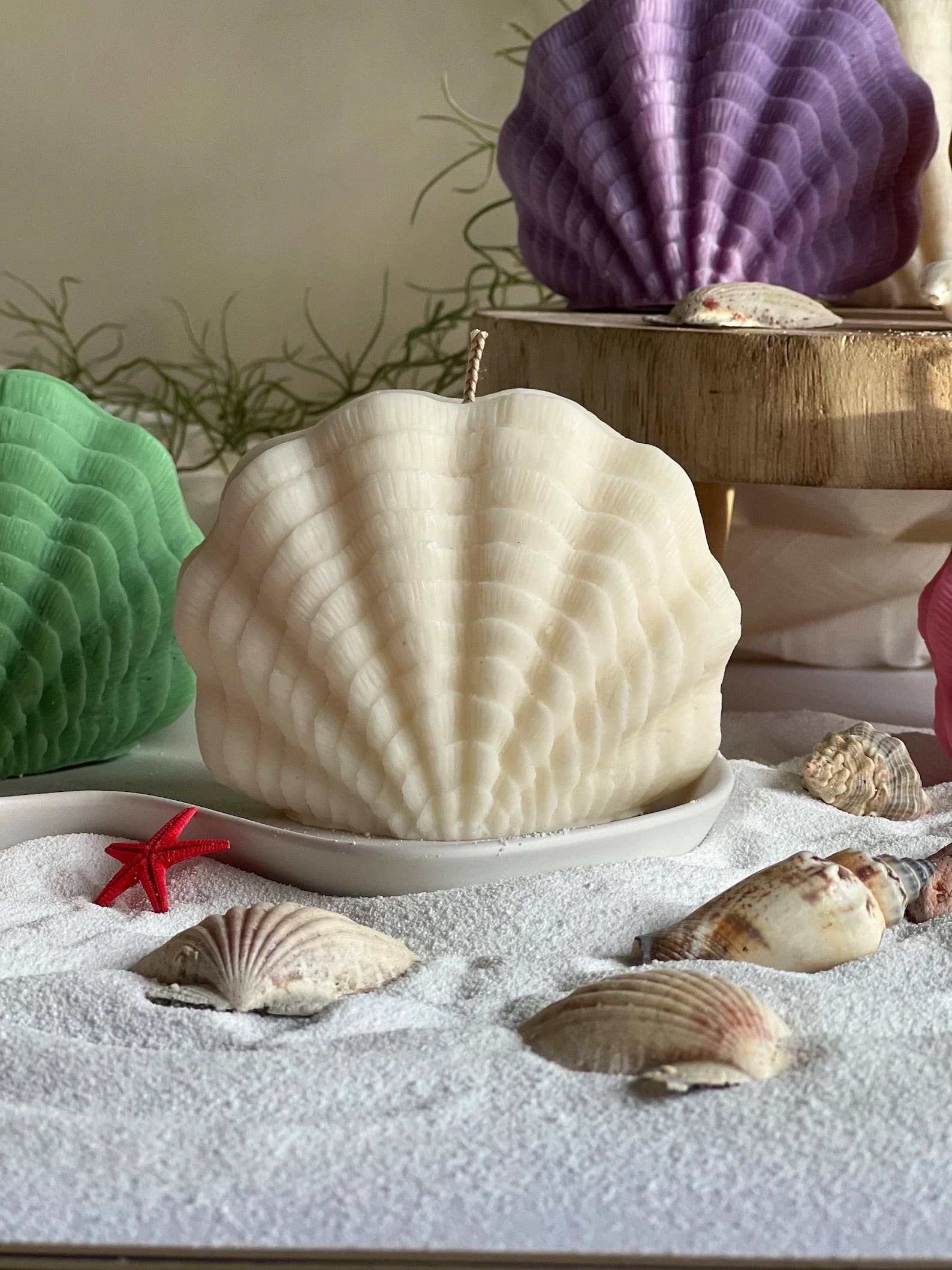 Maison Bohiti – Engroshandel Gavelys – Store Sea Shell-stearinlys Søjlelys Sommerlys Sojavoks6