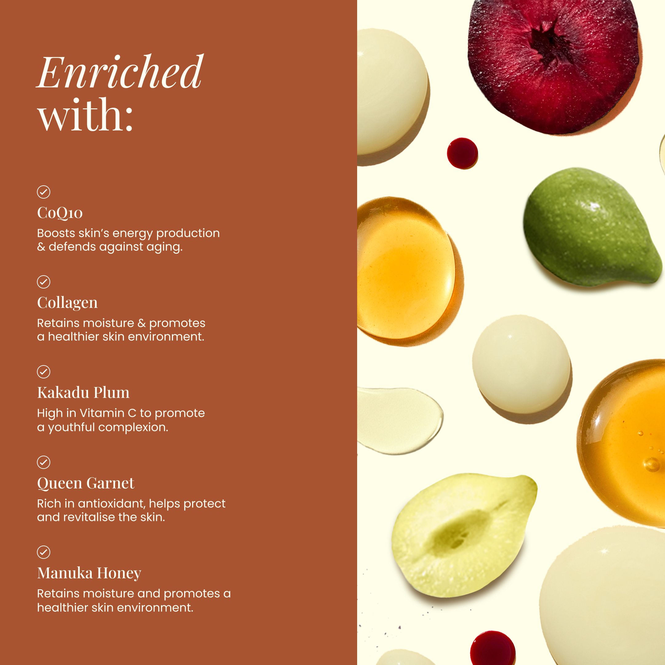 Wild Bee skincare - Wholesale Facial Serum/Concentrate - Youthful Bloom - CoQ10 & Collagen Serum 30ml2