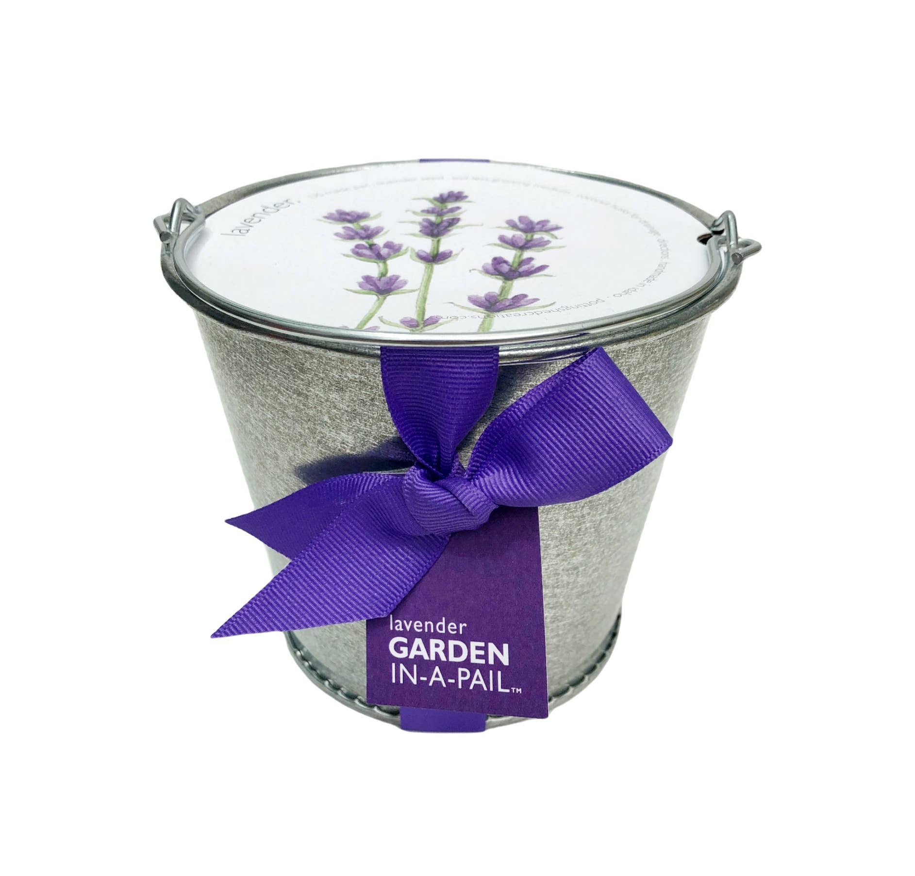 Potting Shed Creations, Ltd. - Wholesale Plant Seeds - Garden in a Pail | Lavender | Calming Spring Gift1