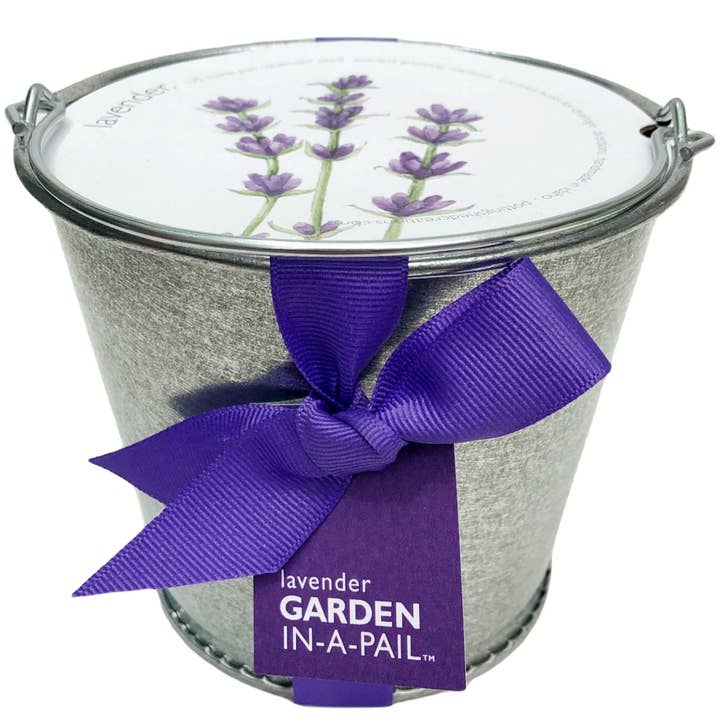 Potting Shed Creations, Ltd. - Wholesale Plant Seeds - Garden in a Pail | Lavender1
