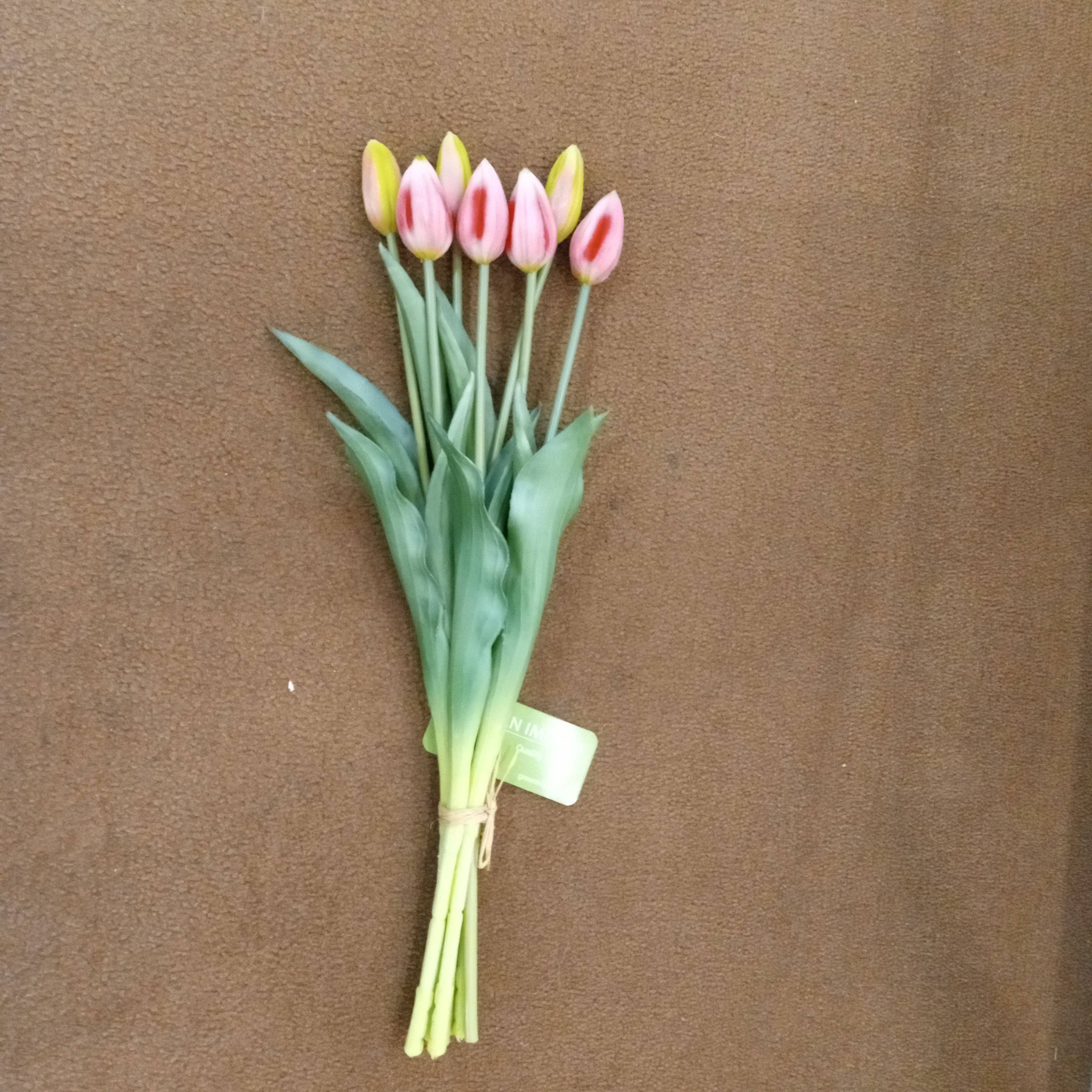 Green Import Limited - Vente Fleurs artificielles - PA10321 Paquet de boutons de tulipe x 7, 17 pouces2