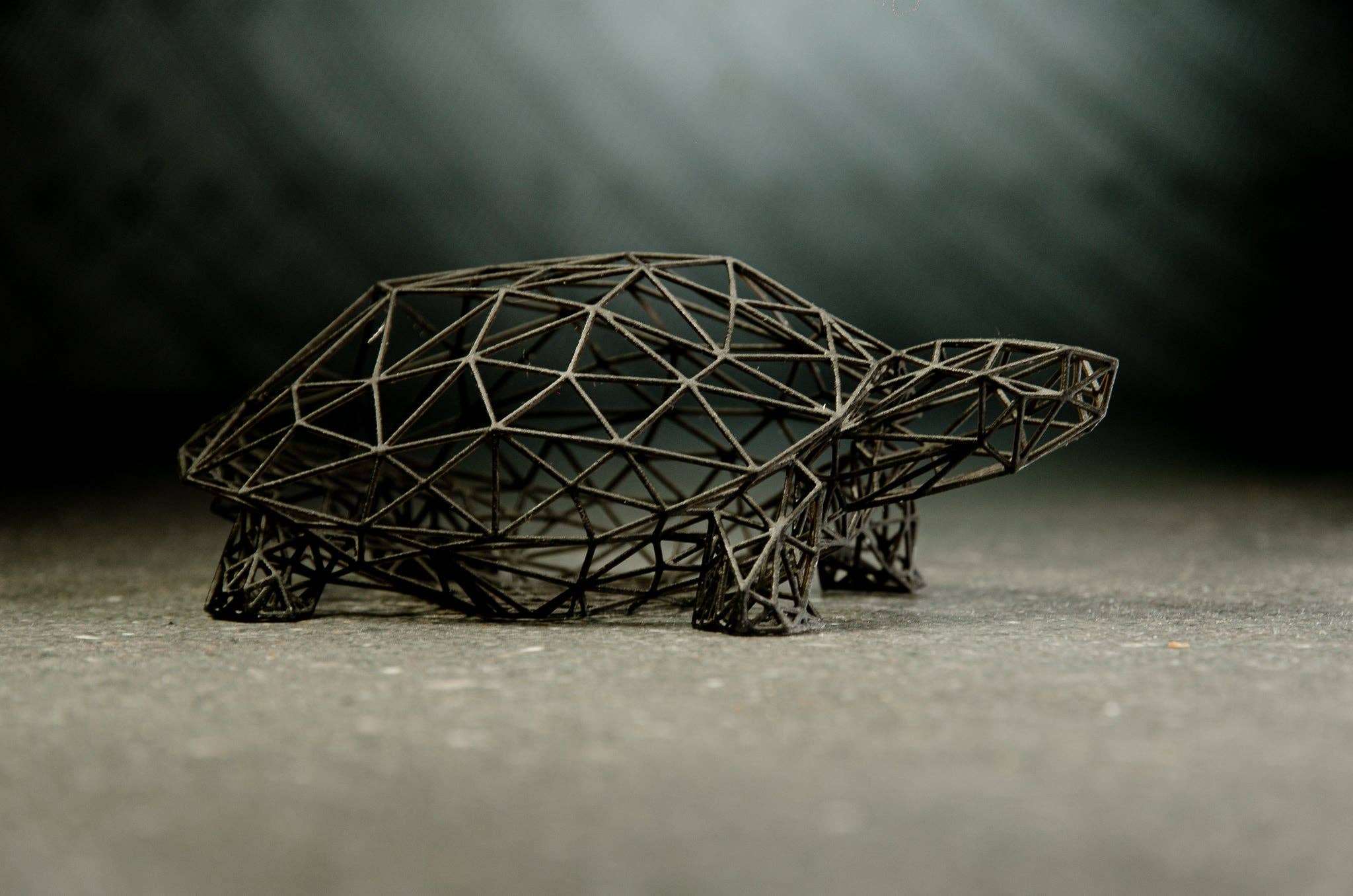 3DOfficeAT – Großhandel Skulptur – 3D-Drahtgitter-Design Schildkrötenskulptur7