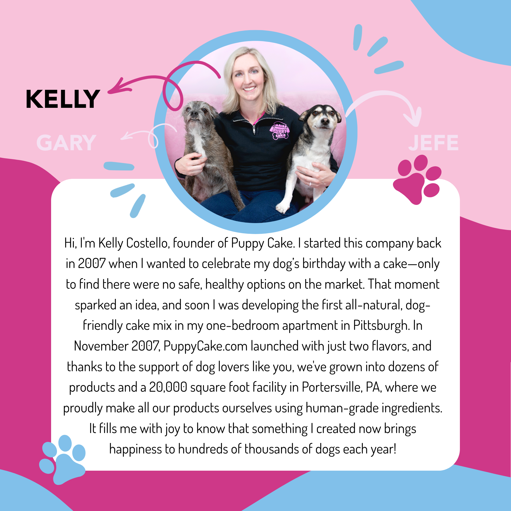 Puppy Cake LLC - Wholesale Pet Treats - Dog - Dog Birthday Cake Kit4