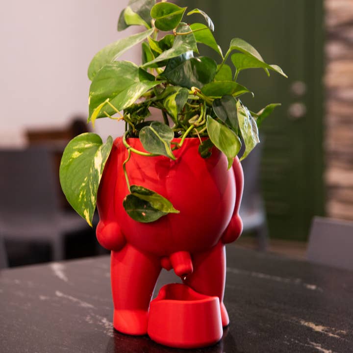 Small and Large Peeing Boy - Planter and Pot for wholesale by Digital Relish