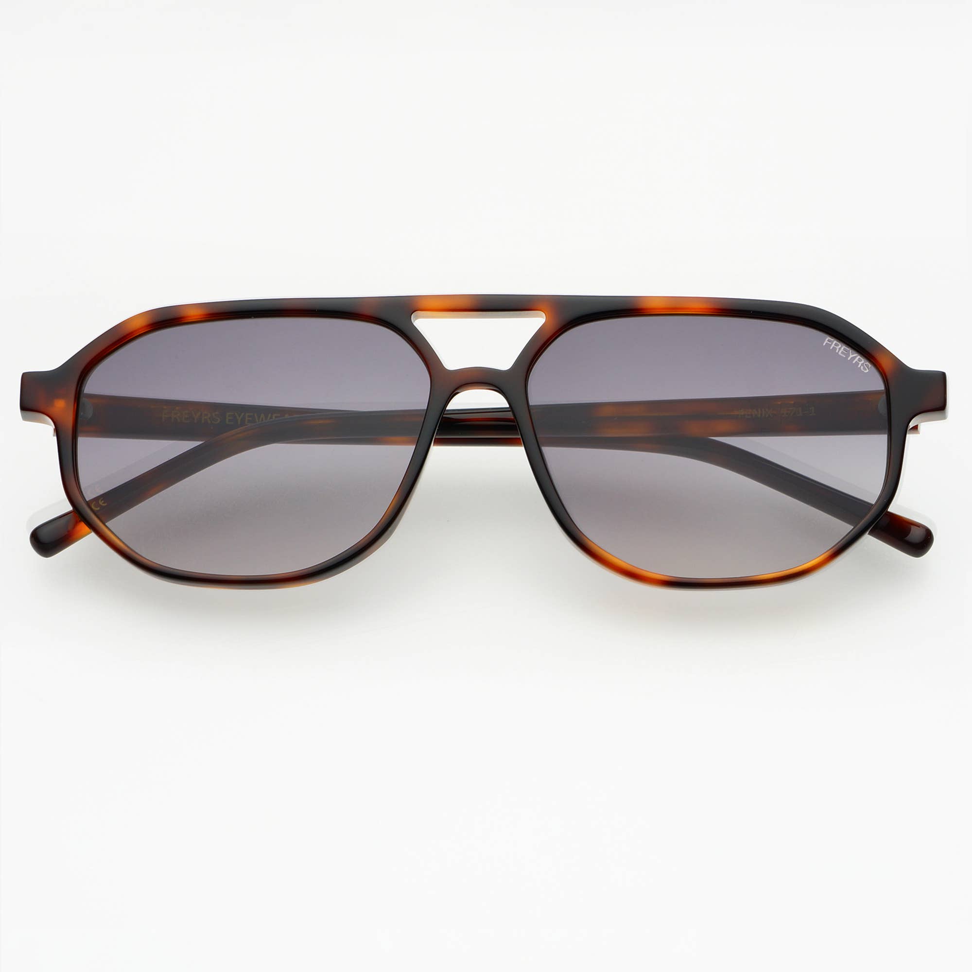 F-2100 Sunglasses - Fysh UK Authorized Retailer | coolframes