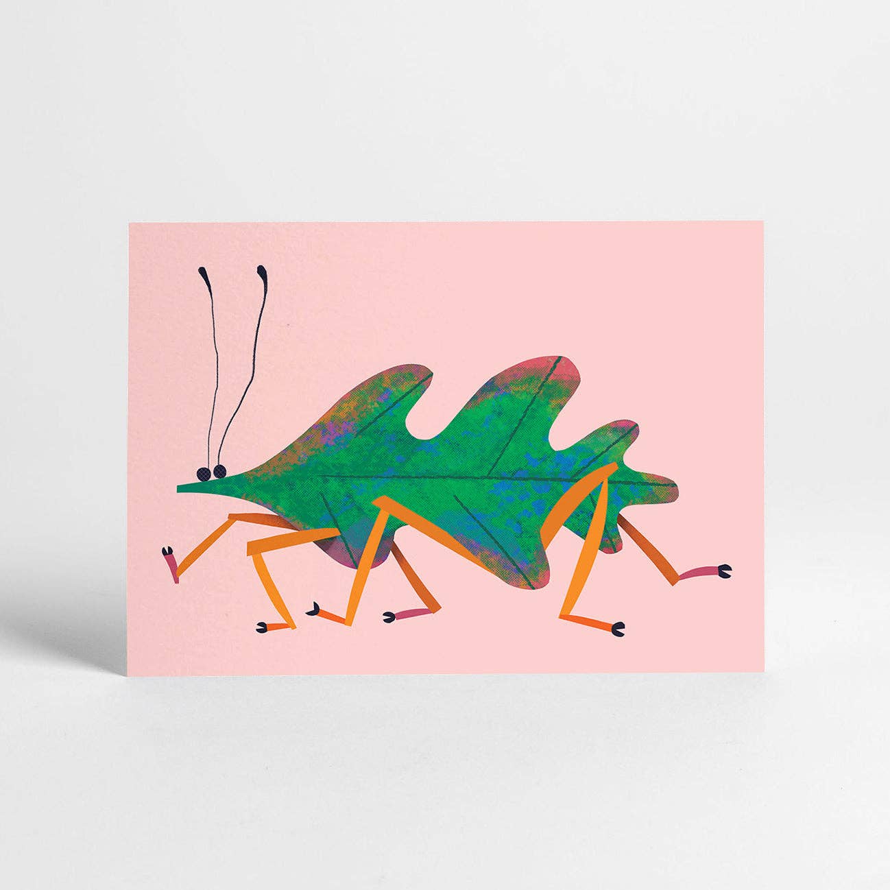 Sunny Beast - Venta al por mayor Juego de postales - 20 postales | Set en caja13