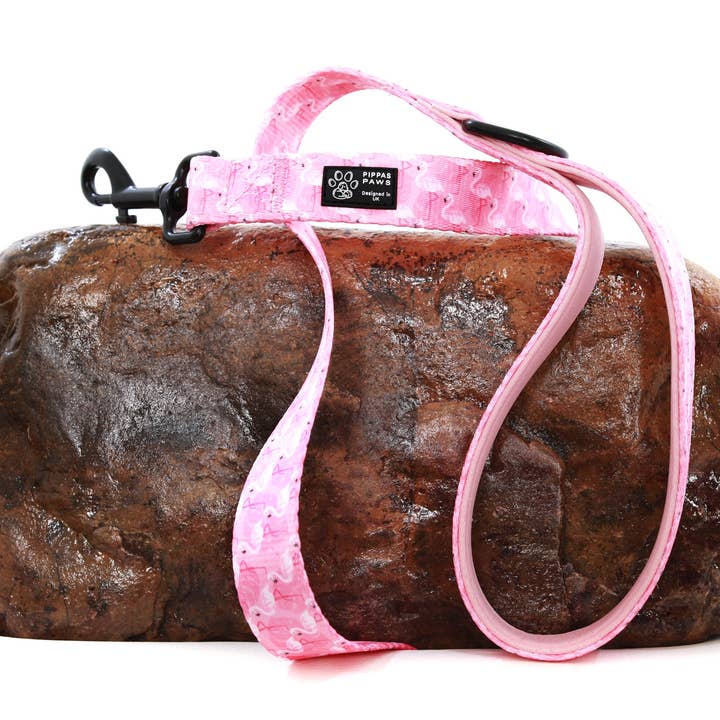 Fabulously Flamingo Lead for wholesale by Pippa's Paws