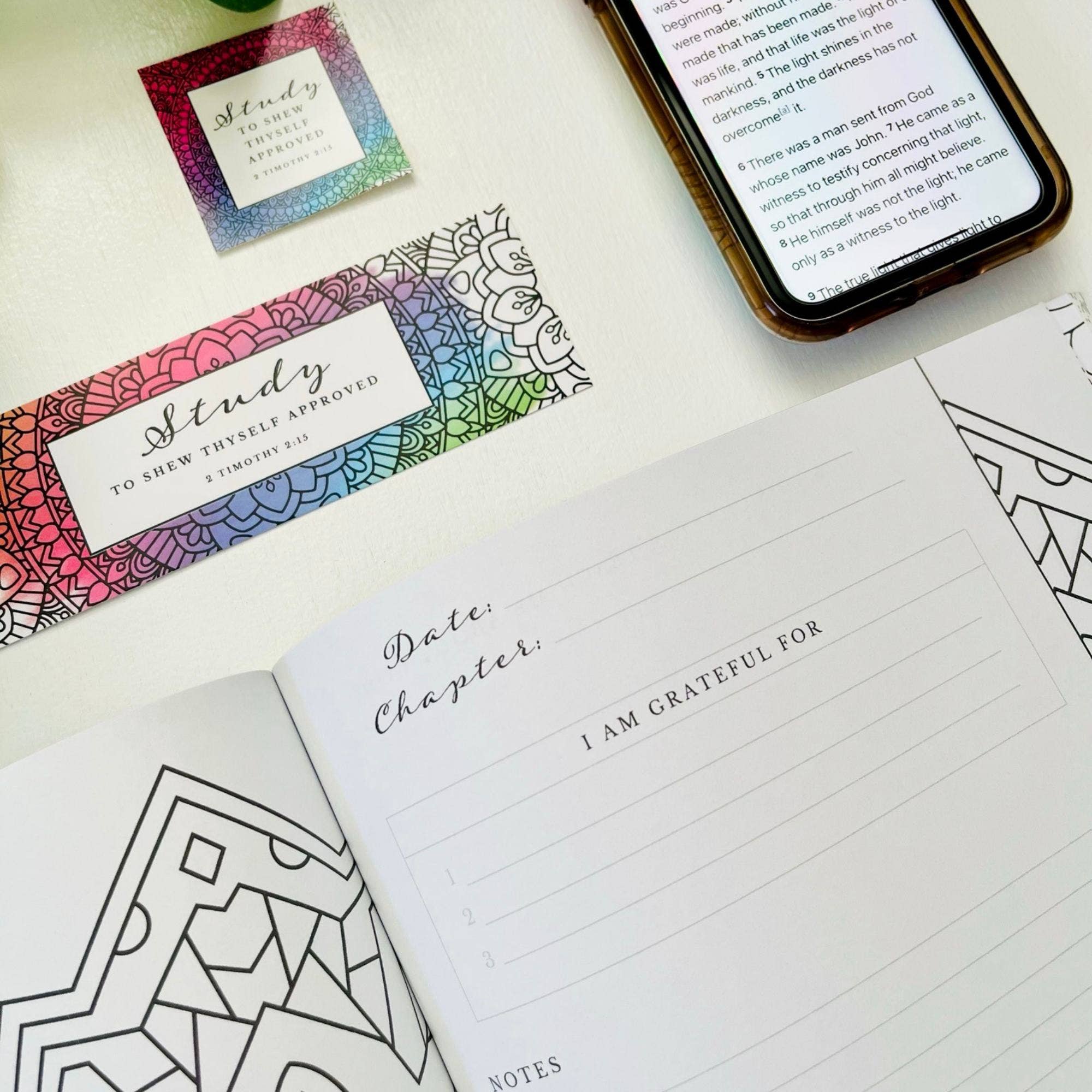 Scripture and Grace - Wholesale Journal/Diary - Chapter by Chapter Bible Study Journal and Coloring Book6