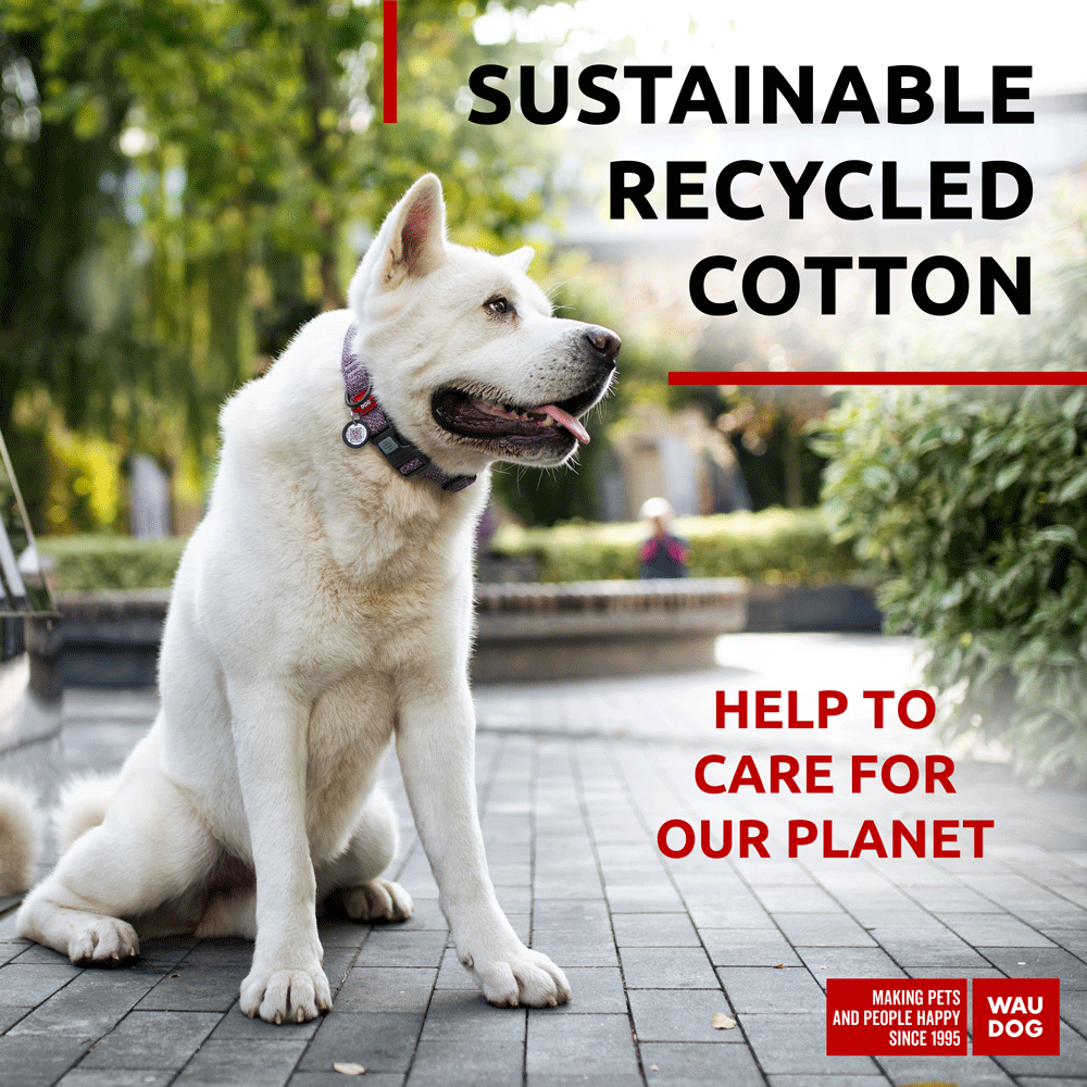 WAUDOG - Wholesale Pet Collar - Dog - Re-cotton Collar With Plastic Clasp12