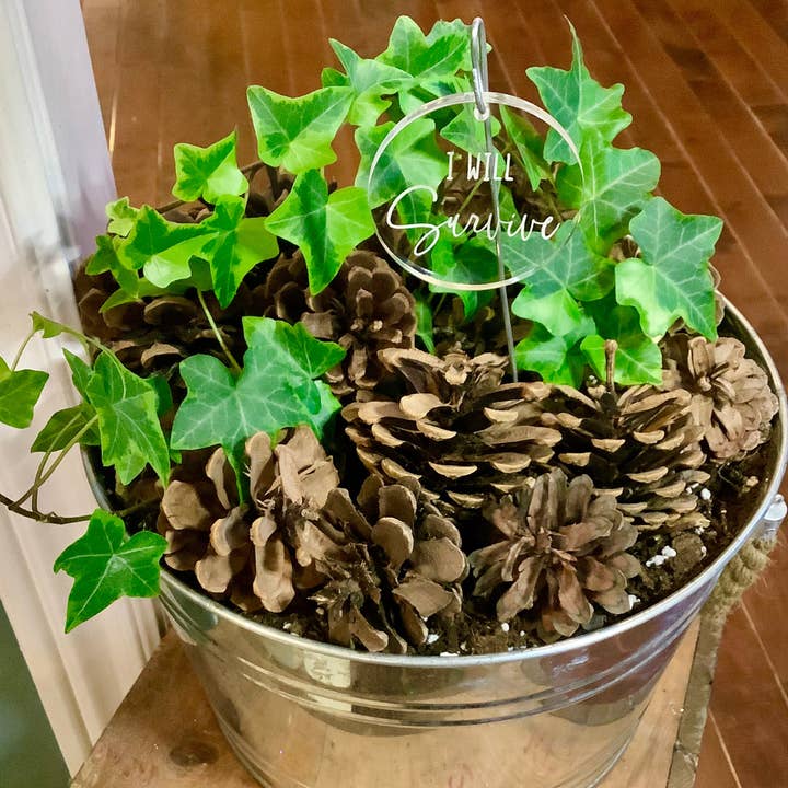 Crawford Custom Engraving - Wholesale Garden/Lawn Stake - Plant and Garden Markers, Plant Puns, Funny Plant Markers4