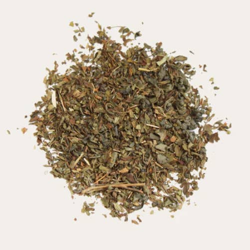 Groundwork Coffee Roasters - Wholesale Loose Tea - Moroccan Mint Organic Loose Leaf Green Tea1