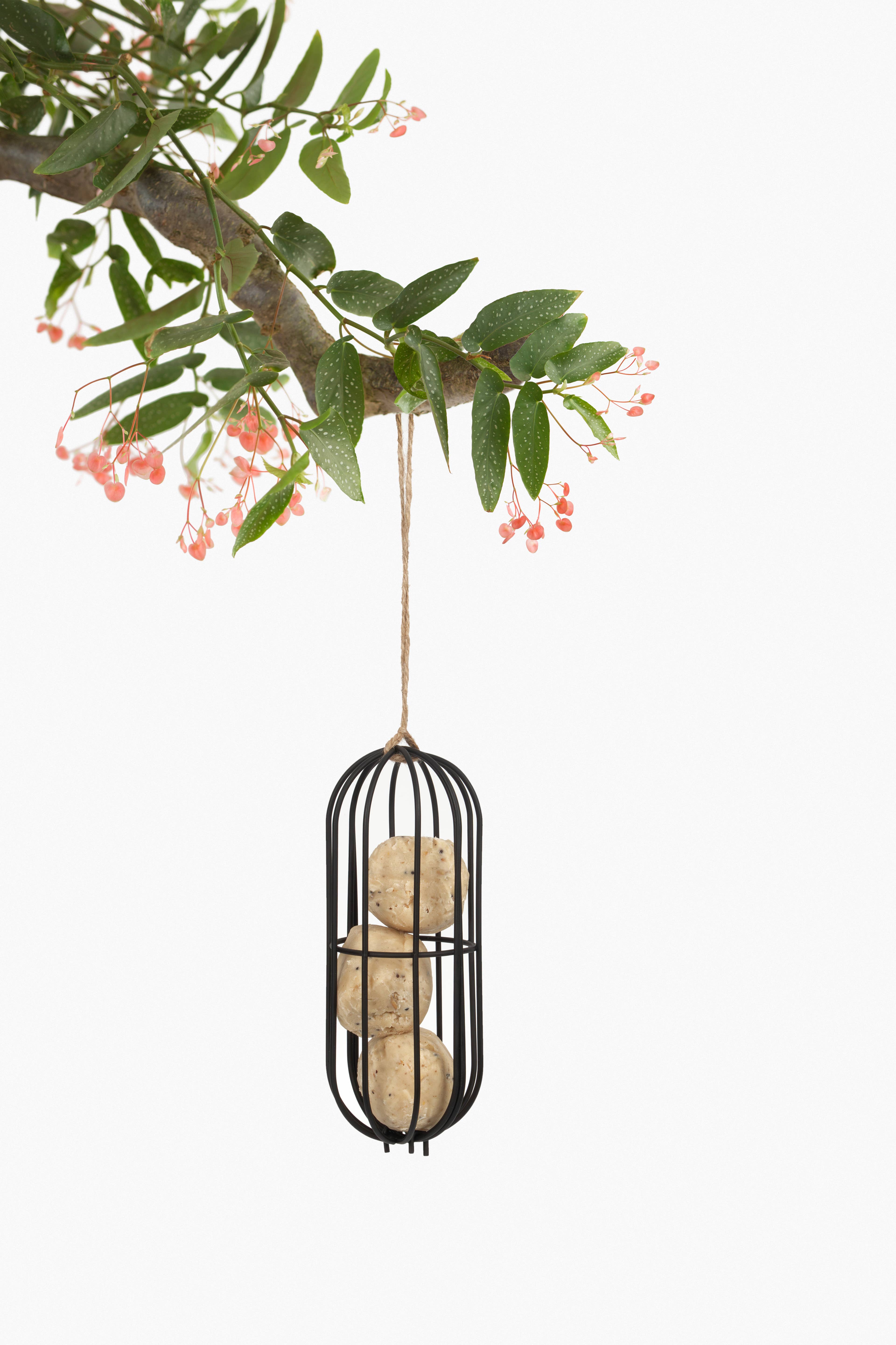 SingingFriend - Wholesale Bird Feeder - Hello Beau metal bird feeder0