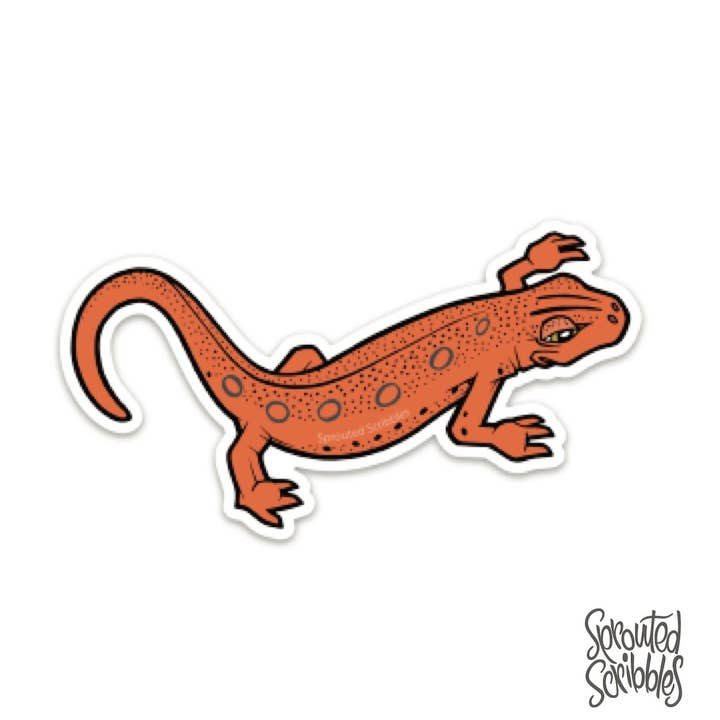 Sprouted Scribbles - Wholesale Sticker - Cute Newt Sticker - Red-Spotted Appalachians