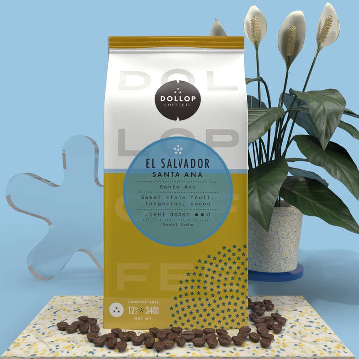El Salvador Santa Ana for wholesale by Dollop Coffee Company