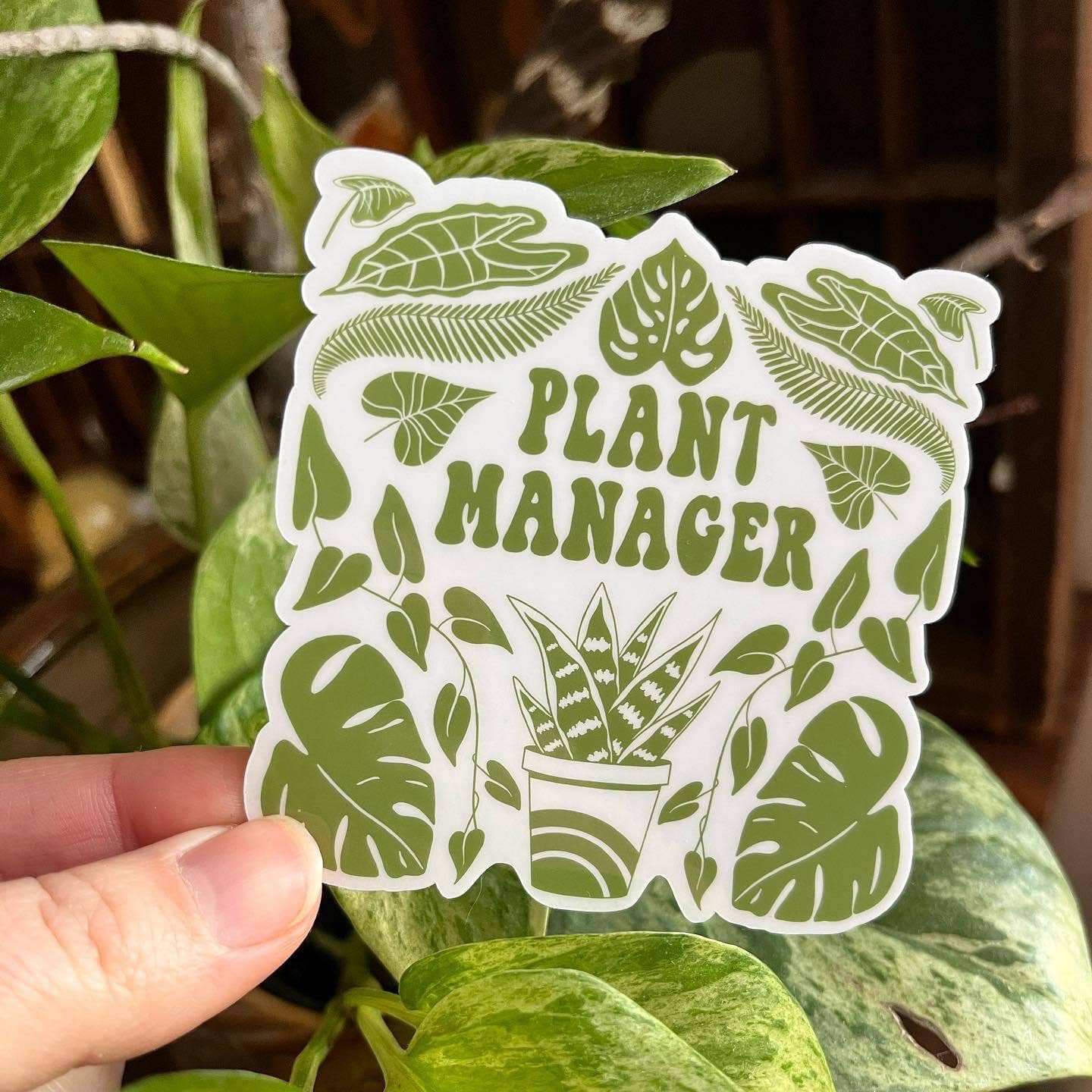 Sage and Virgo - Wholesale Sticker - Plant Manager, Green Vinyl Sticker