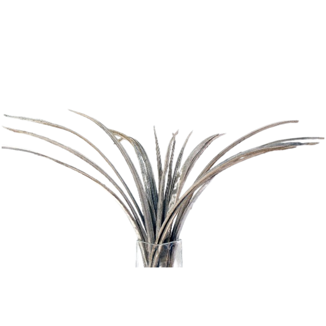Botanico Ltd. - Wholesale Dried/Pressed Flowers - Coco Grass1