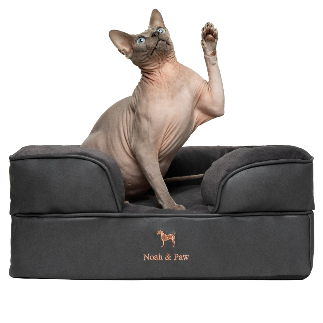 NOAH AND PAW LLC – Großhandel Haustierbett – Katze/Hund – Orthopädisches Hundebett im Sofastil aus Kunstleder mit Memory-Schaum und kühlendem Gel14