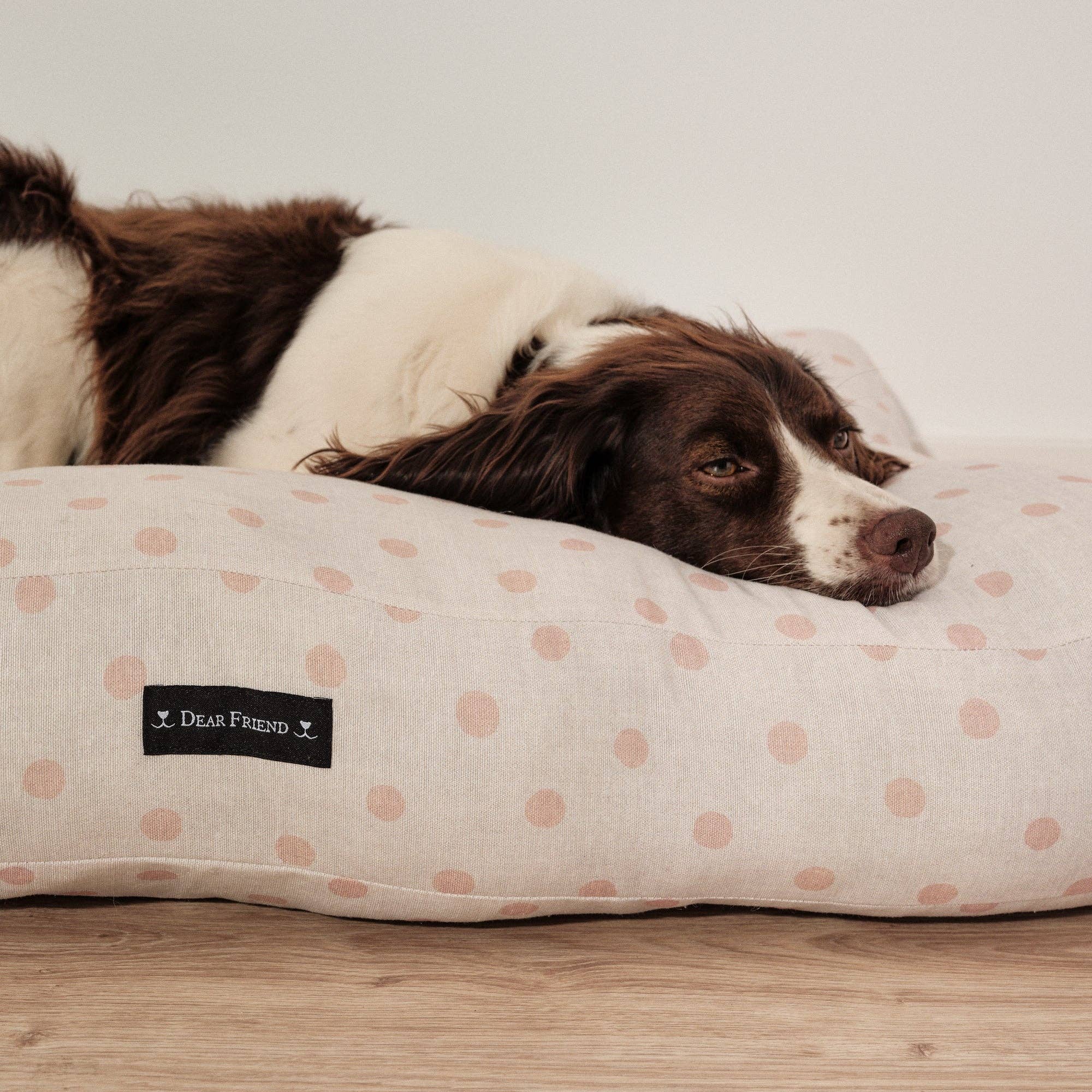 SG HOGAR – cama - Gato e cão por atacado – Cama acolchoada de algodão resistente a manchas para cães e gatos 0120-1781