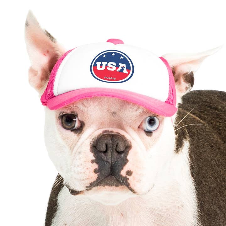 PupLid – wholesale Hatt - Hund – USA Stars Design l Truckerhatt för hundar18