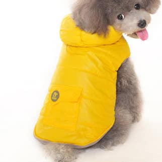 Closed Out Item- Dashing Dog Parka for wholesale by Dogo Pet