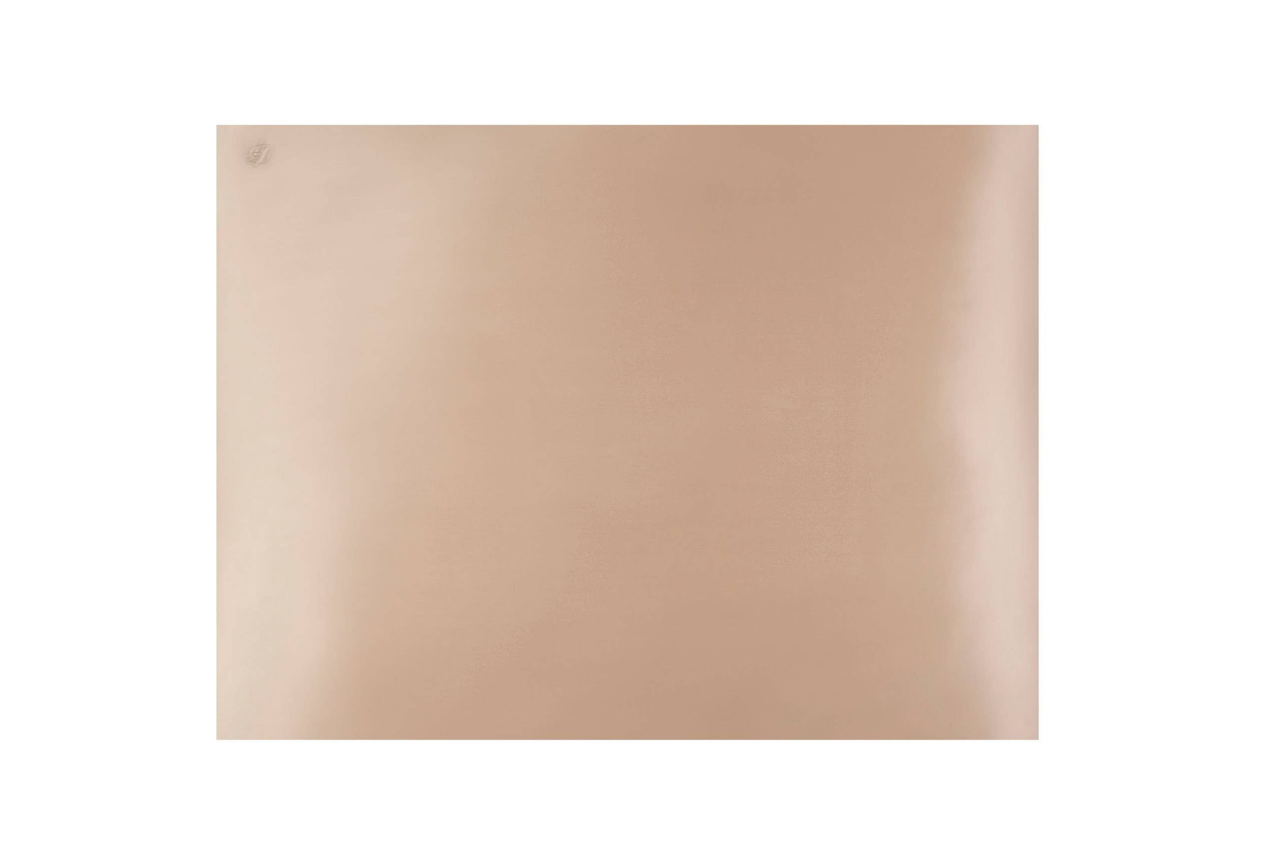 Jane Darcy - Wholesale Bedding Pillowcase/Sham - Luxury Silk Pillow Case, Champagne1