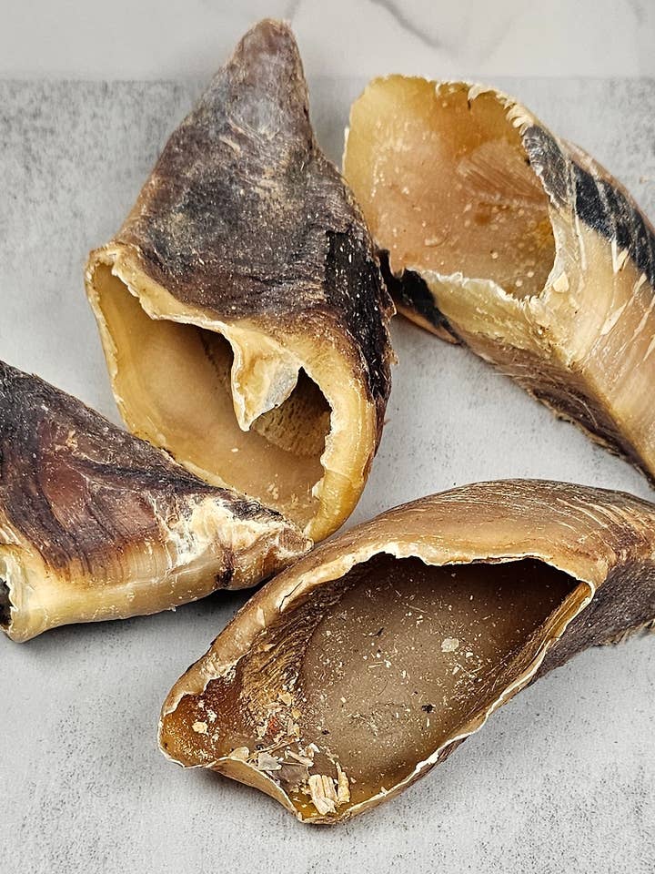 Spirit of Wild oxklövar för wholesale av Spirit of Wild