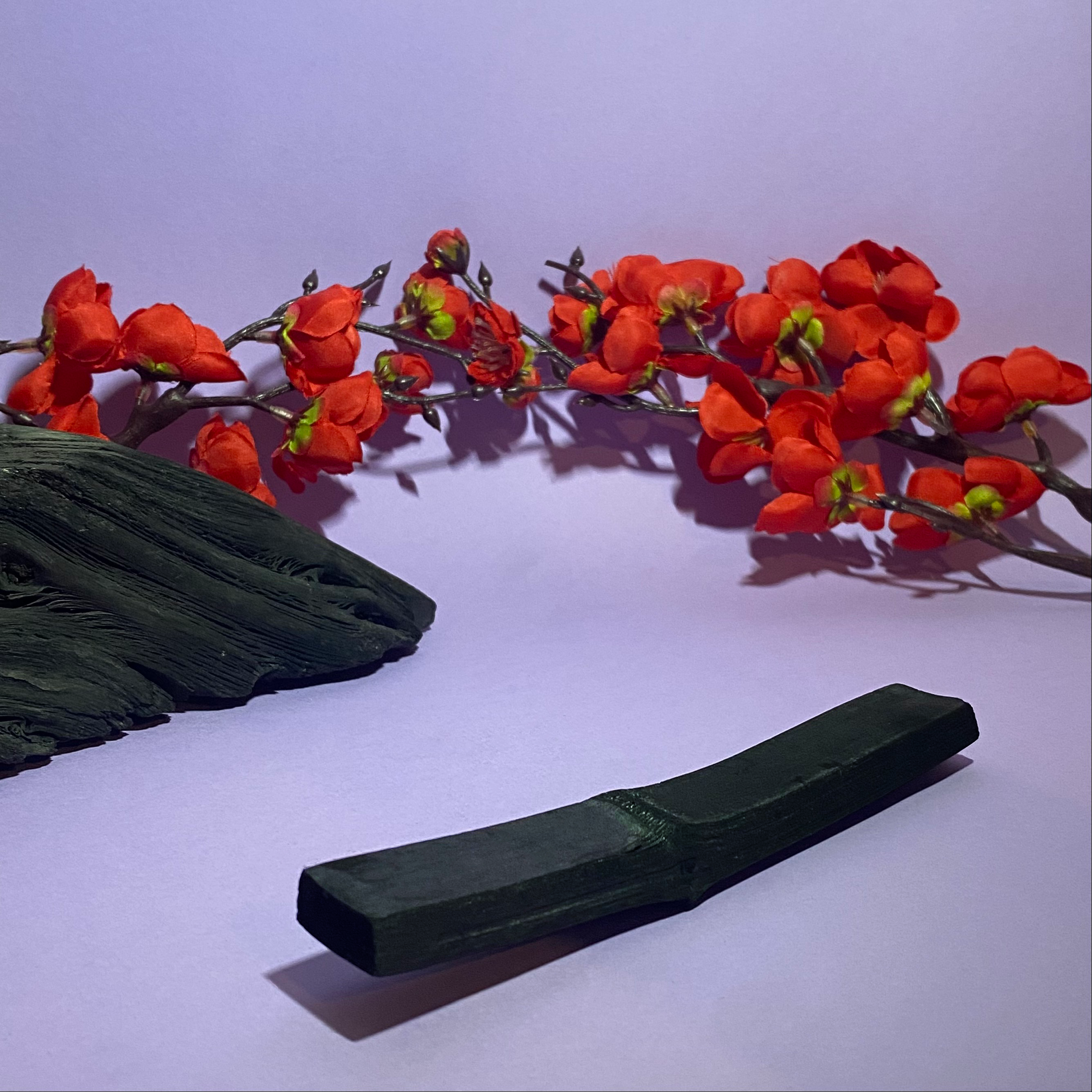 Bijin – Großhandel Luftreiniger – Japanischer Bambuskohle BIO Takesumi Filterstab2