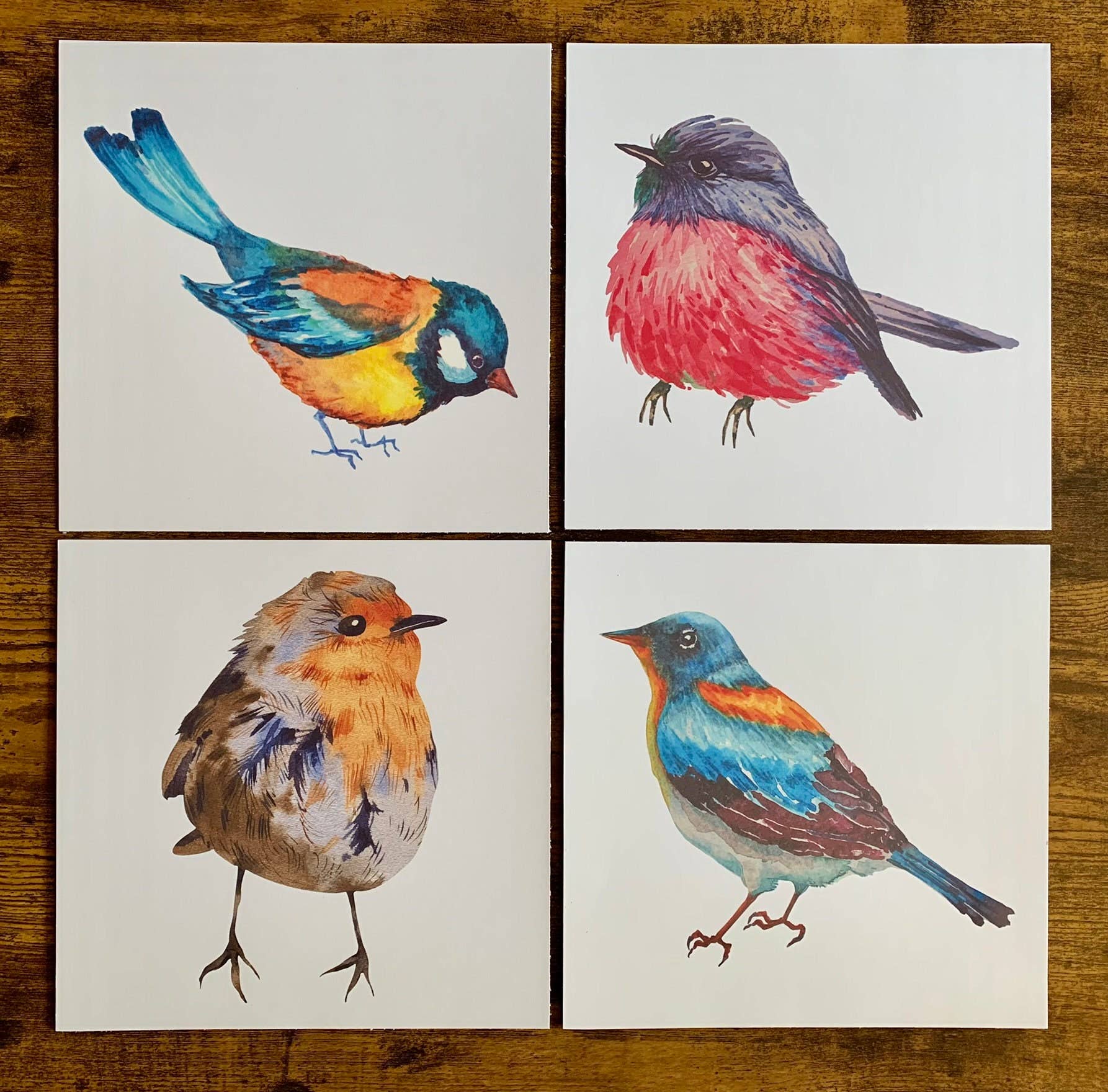 Magnifique Hearts – Großhandel Kunstdruck – Niedliche ornithologische Drucke, 8x8 Zoll, Vogeldrucke3