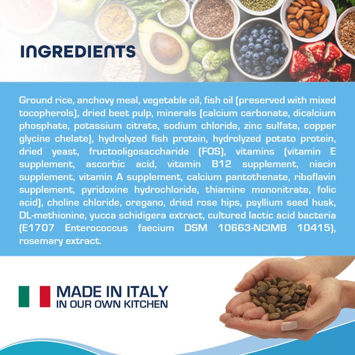 Forza10 Pet Food - Wholesale Pet Food - Dog - Forza10 Active Intestinal Support Diet Dry Dog Food