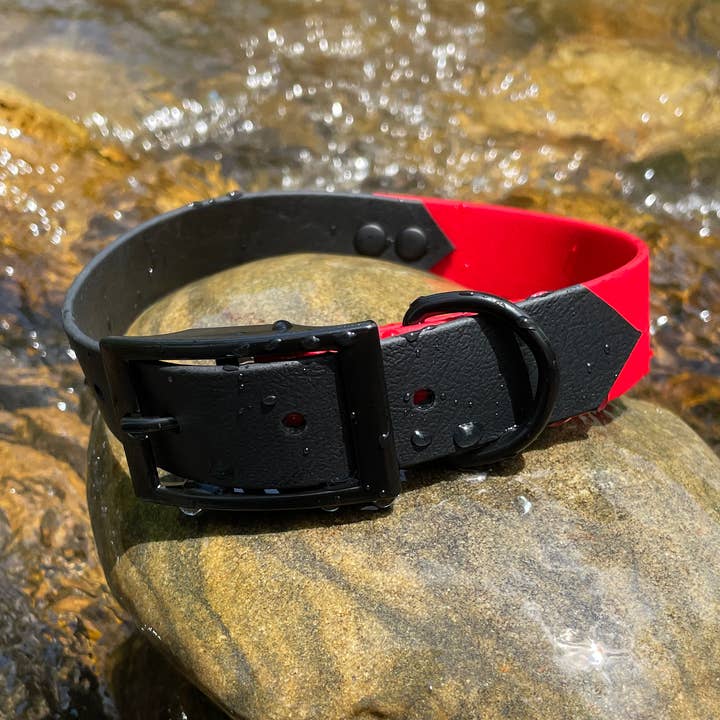 Black & Red Waterproof Collar for wholesale by Hollywoof Styles