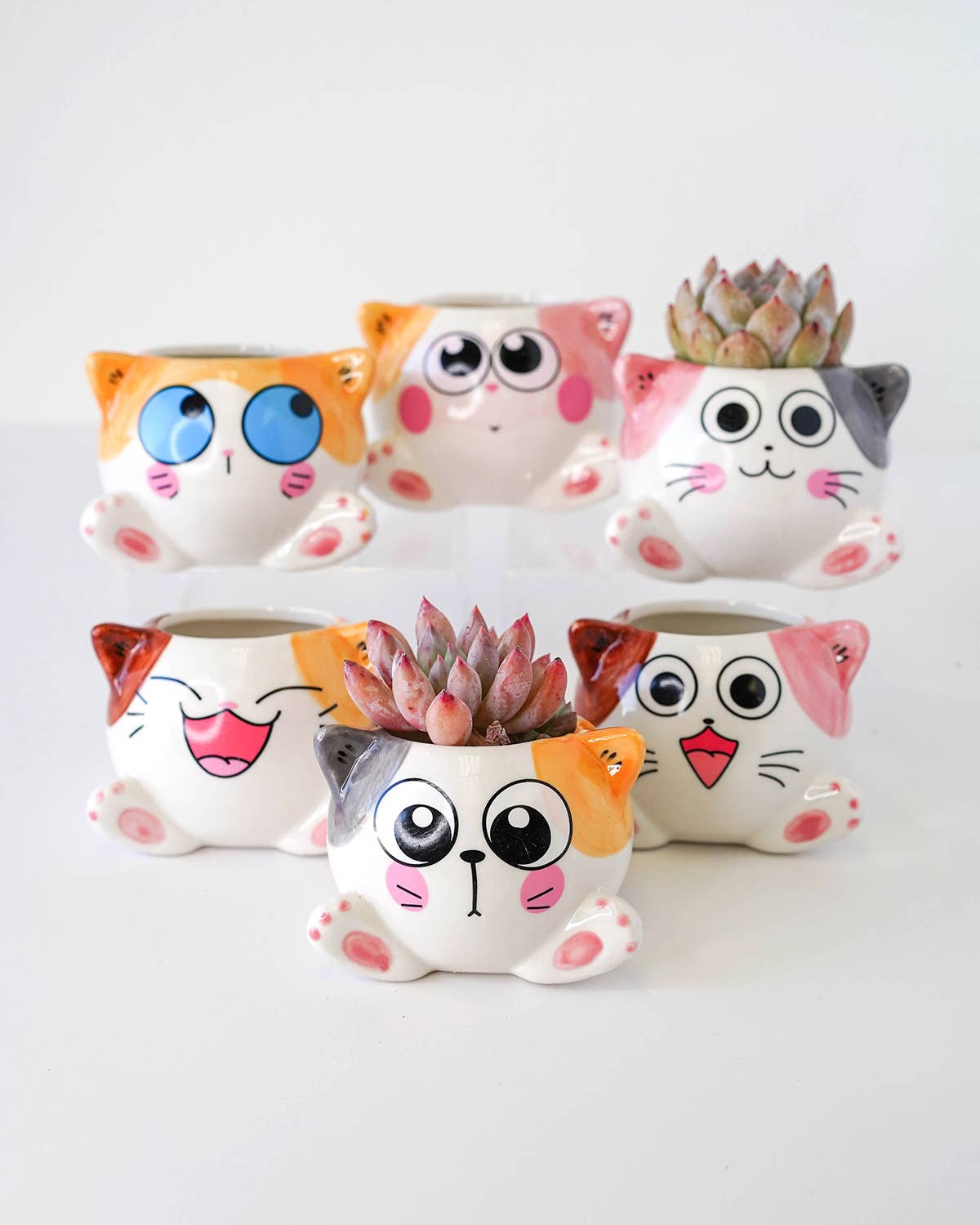 Springer Décor – Vaso de plantas por atacado – Gatos sentados1