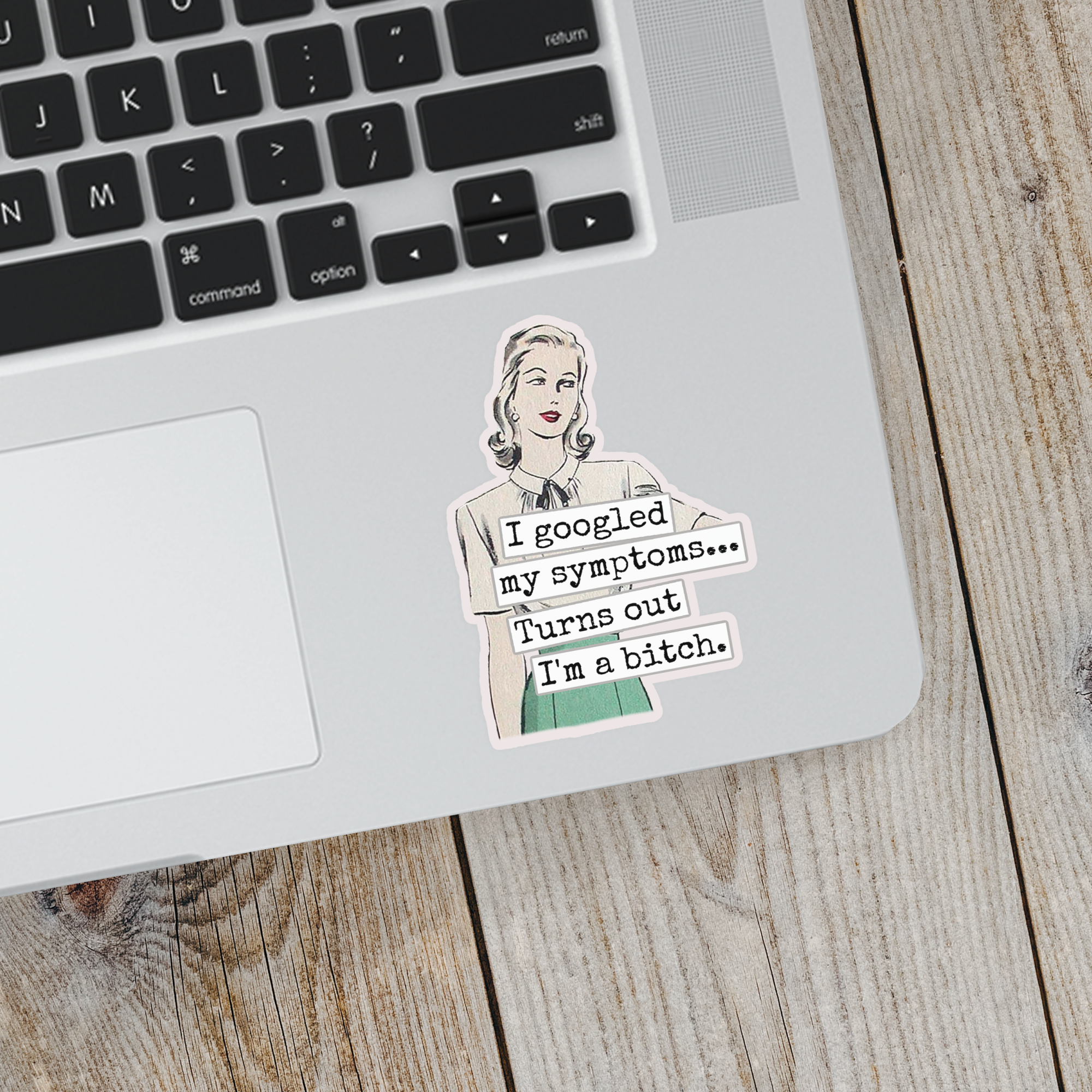 Raven's Rest Studio - Wholesale Sticker - Funny STICKER. I Googled My Symptoms.. Turns Out I'm A Bitch2
