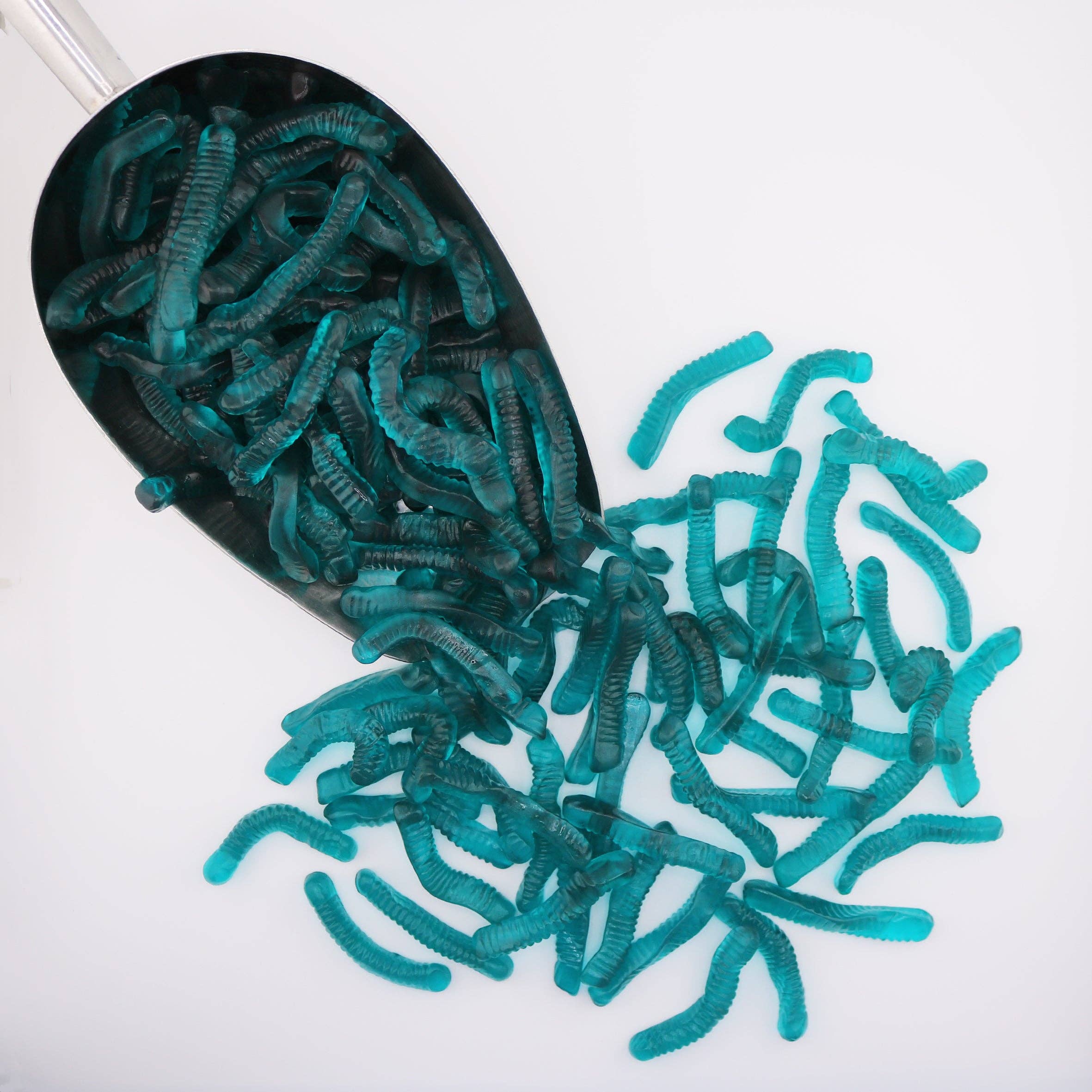 First Choice Candy - Wholesale Gummy - BLUE RASPBERRY GUMMY WORMS3
