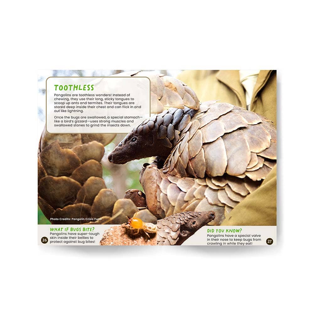 Wildlife Tree - Wholesale Baby & Toddler Book (0-2) - All You Need to Know About Pangolins edZOOcation Conservationist Book - Paperback2