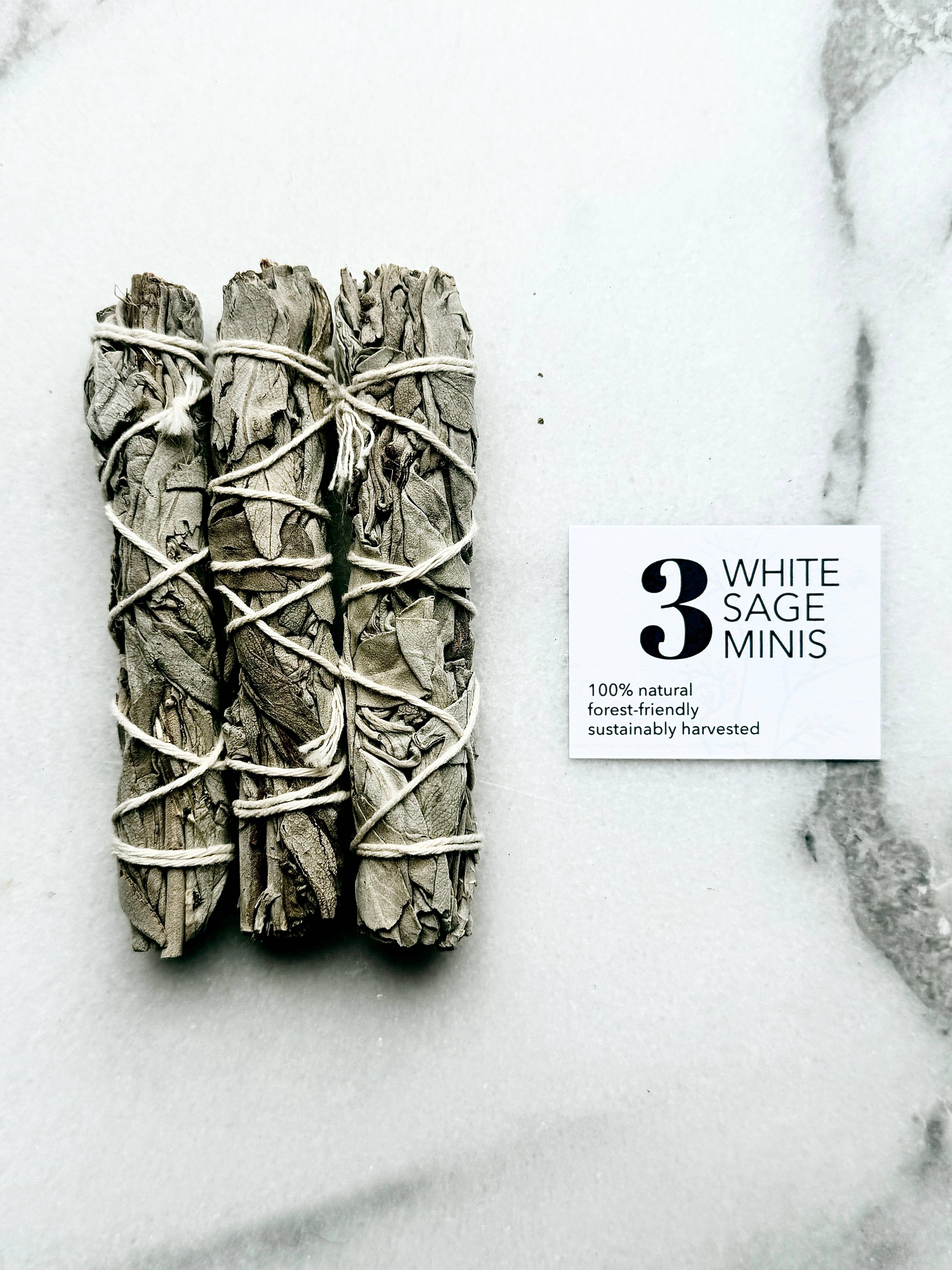 Essence of Life Organics – wholesale Salviabunt – Skogsvänliga vita salviaminis, (set om 3)1