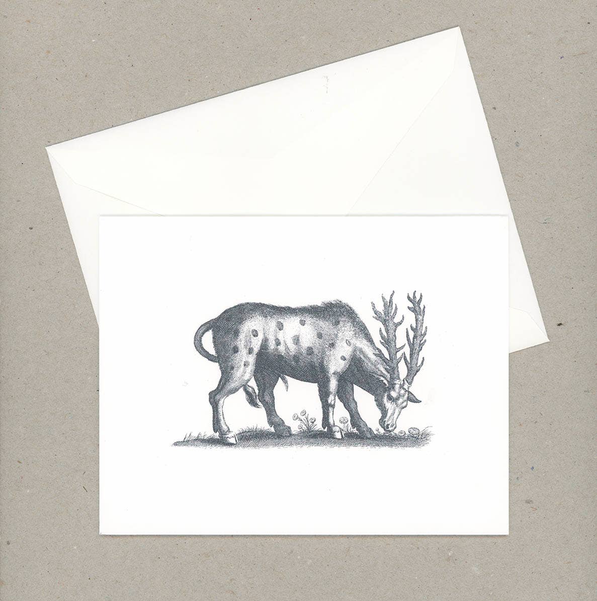 VMazzoni - Wholesale Stationery/Notecard Set - Whimsical Note Cards Set of Six5