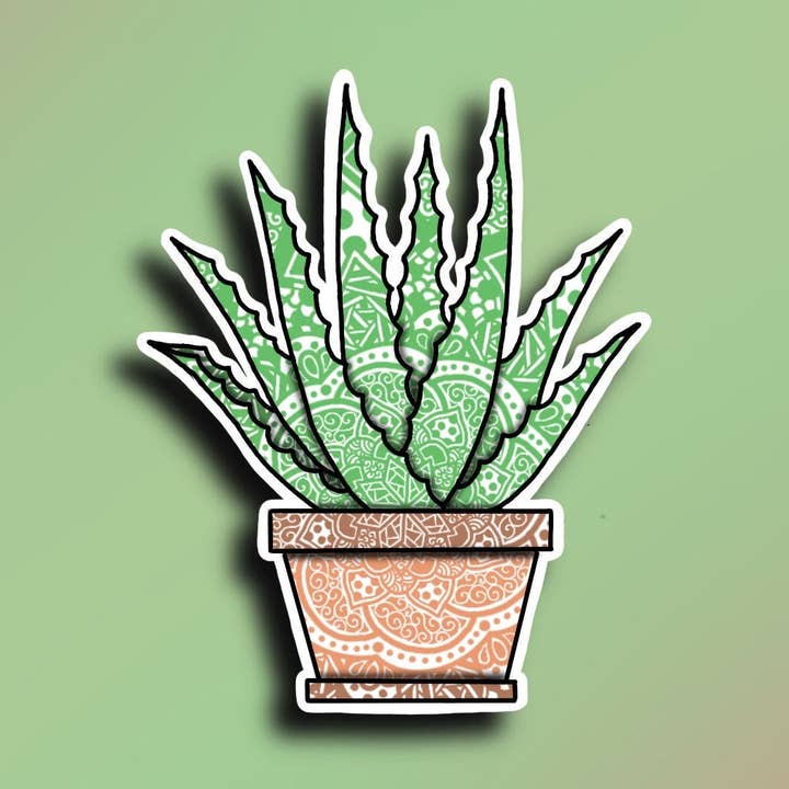 Planta de aloe para venta al por mayor de Always by Ashley Design