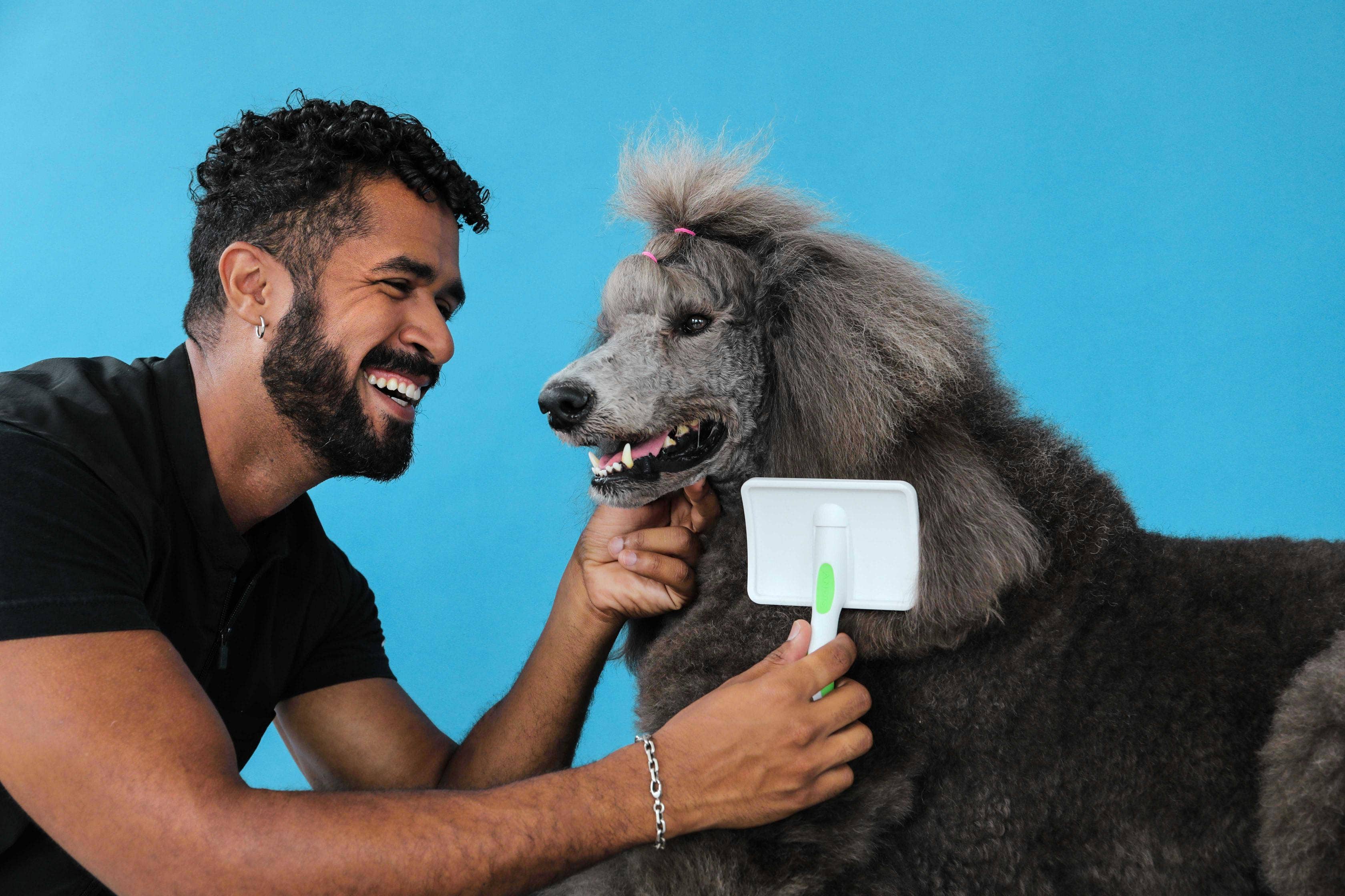 Pet Palette Distribution - Wholesale Pet Grooming Tool - Dog - Andis Large Firm Slicker Brush - Green/White - VBL6