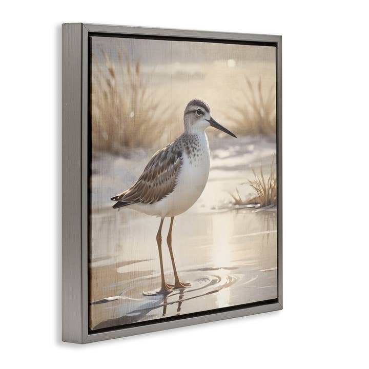 Stupell Industries – wholesale Wall sign – Sunlit Sandpiper in Shallow Water - Framed Wall Art16