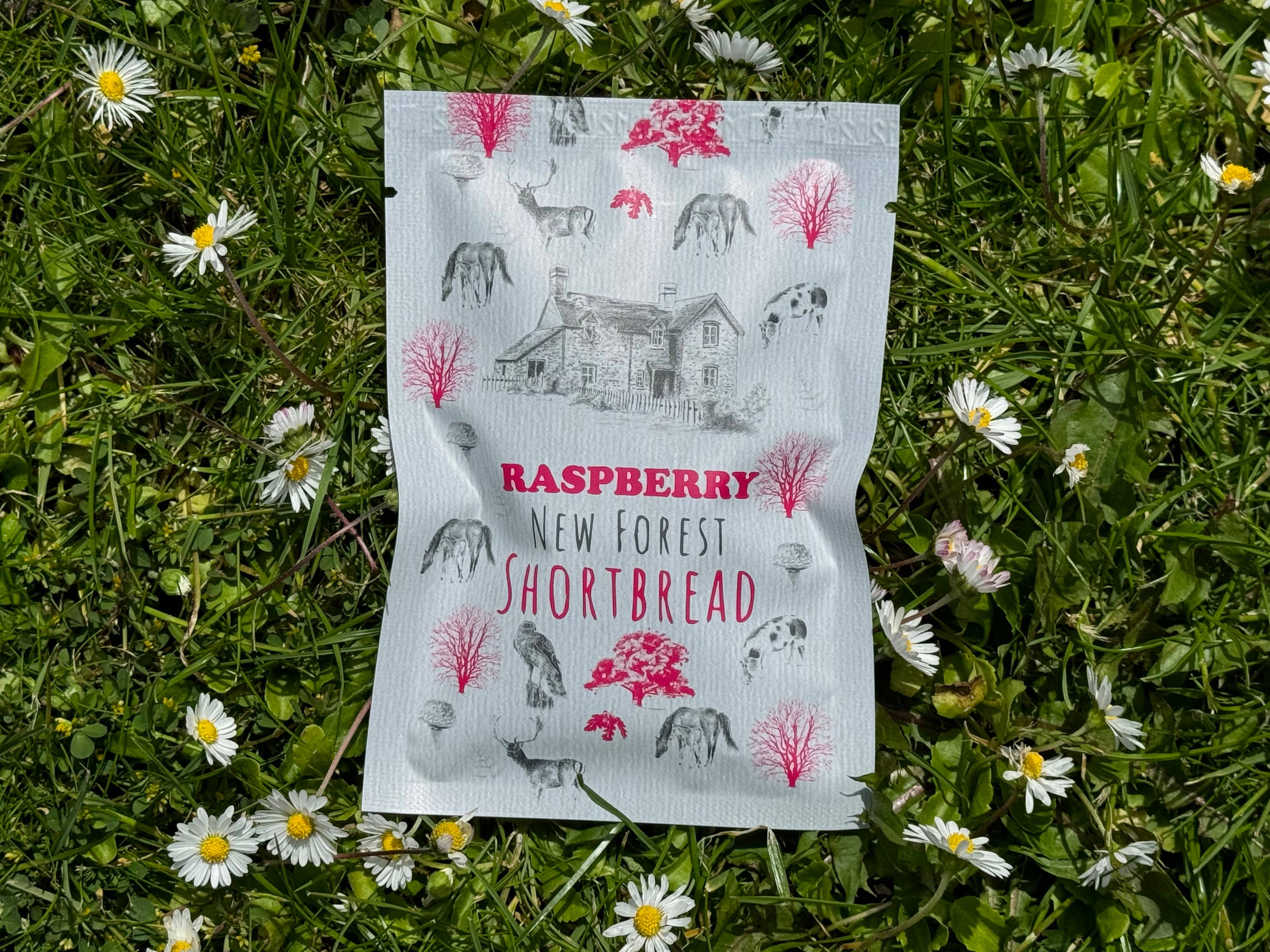 New Forest Shortbread – wholesale Biscuit – New Forest Shortbread Snack Pack - Raspberry2