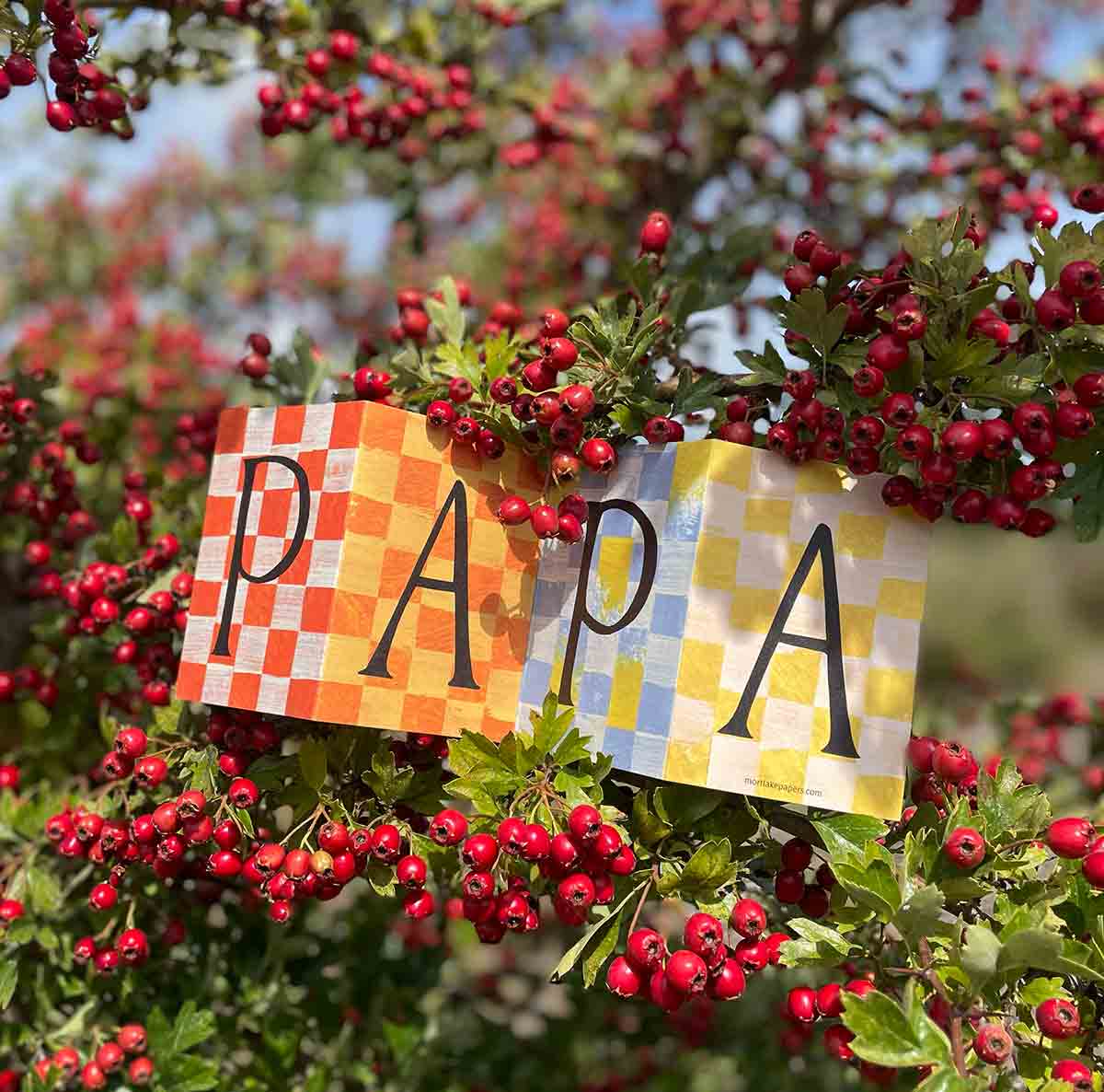 Mortlake Papers – wholesale Father’s Day card – Papa Card | Dad Card | Father's Day Card | Dad Birthday Card9