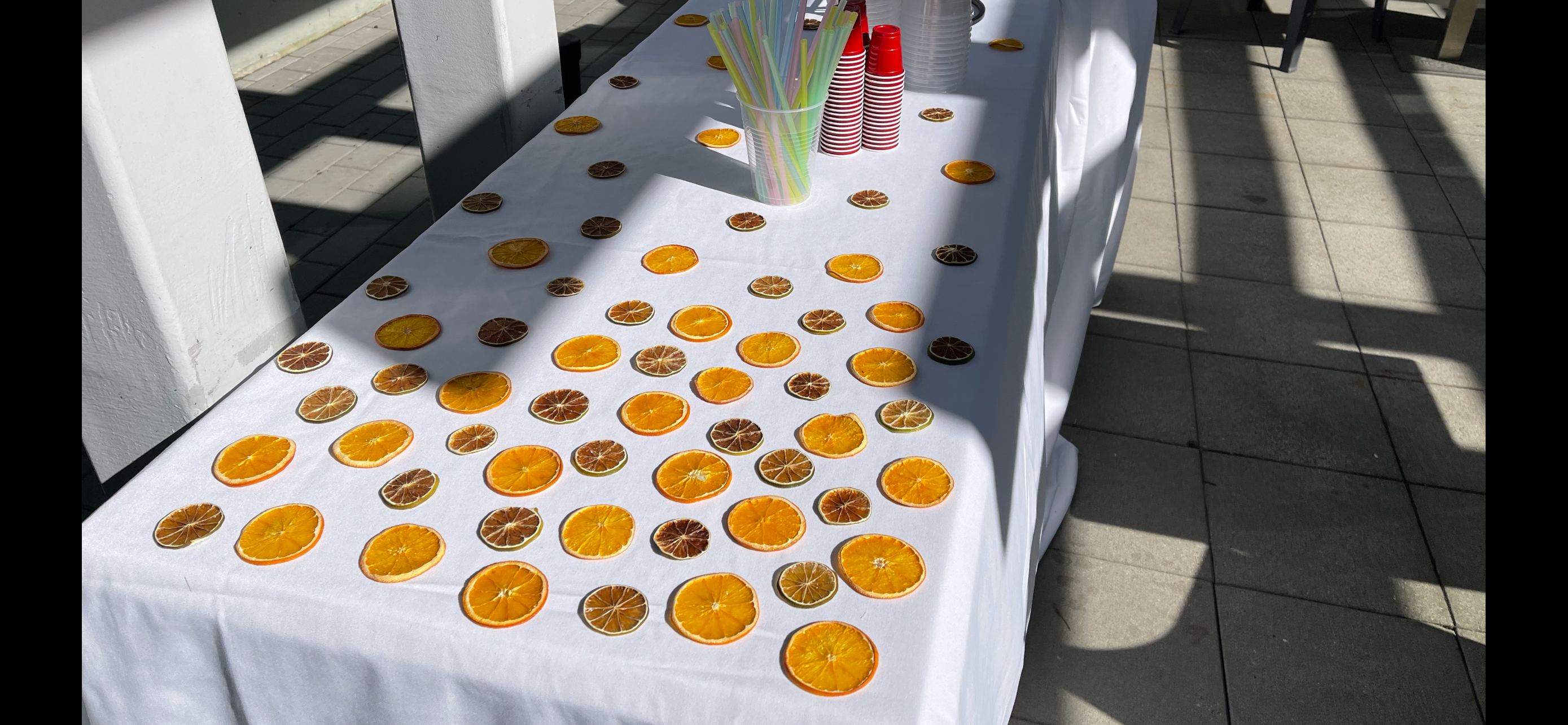 David Blake Cocktails - Vente Fruits secs/déshydratés - Coffret d'agrumes de plus de 500 pièces9