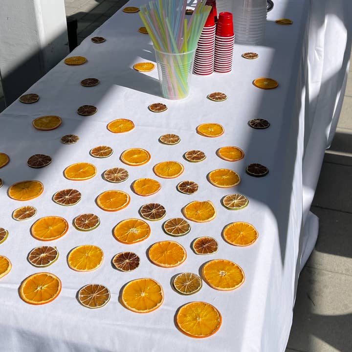 David Blake Cocktails - Wholesale Dried/Dehydrated Fruit - 40+ Piece Small Dehydrated Orange Box5