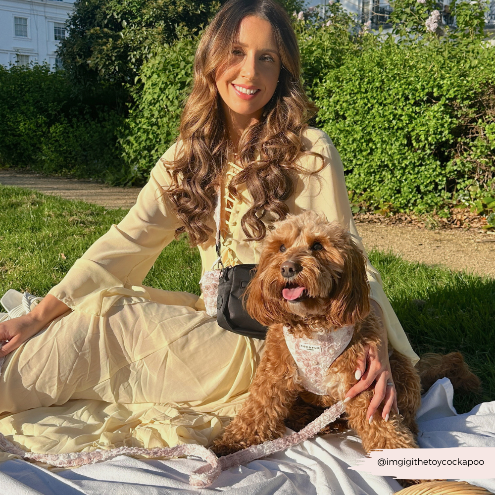 Cocopup London - Wholesale Tuig voor huisdieren - Hond - Cocopup London Pearly Pup verstelbare halsband voor honden12