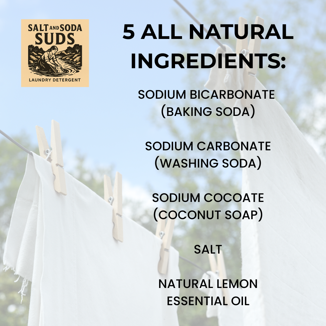 Salt and Soda Brands - Wholesale Laundry Detergent Powder/Pods - Salt and Soda Suds - 5 Ingredient Natural Laundry Detergent 3