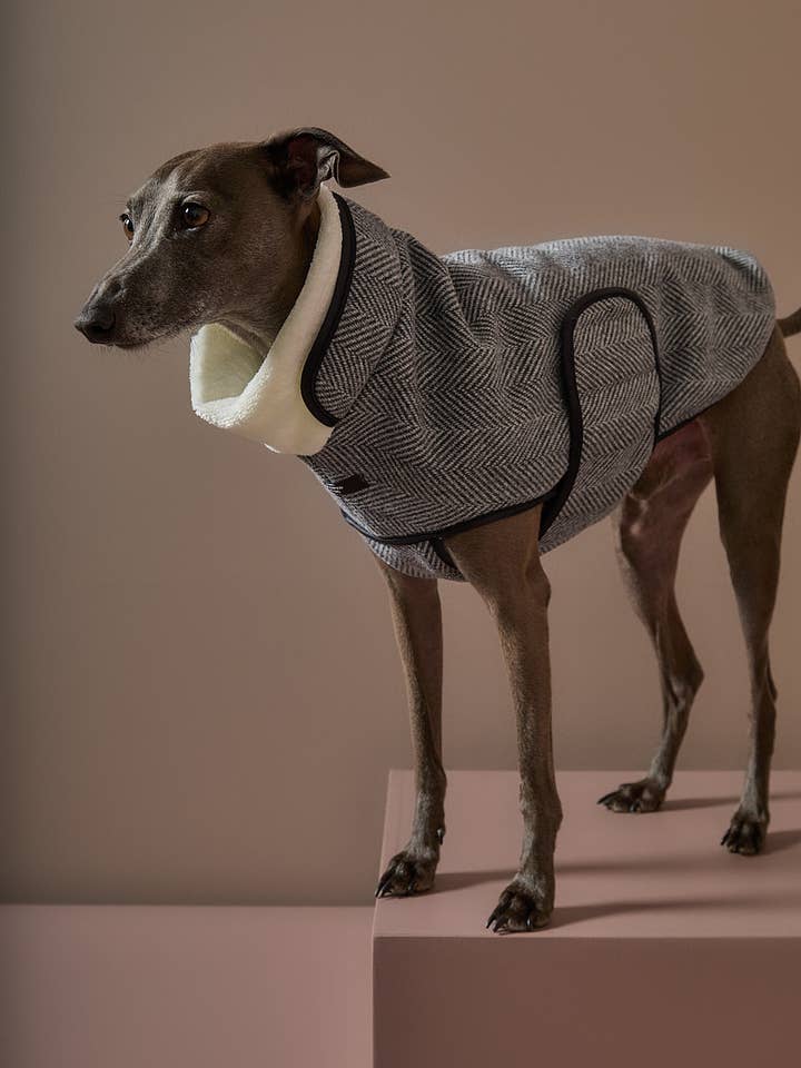 Italienisches Windspiel / Whippet Graues Fischgrätenmuster Jacke TWILL für den Großhandel von The Striped Dog