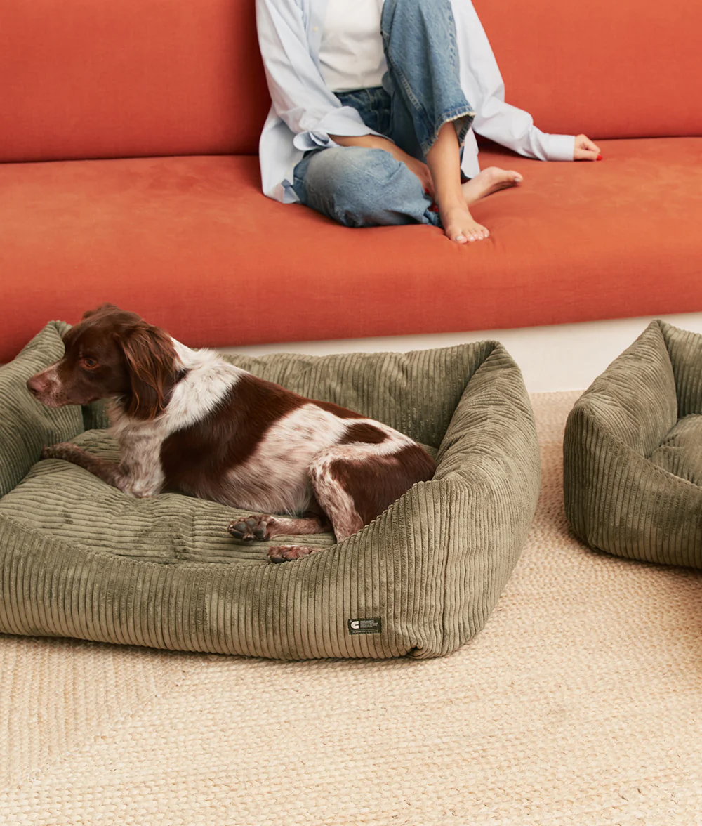 CAFIDE - Wholesale Pet Bed - Dog - Green Corduroy Dog Bed, Snozy3